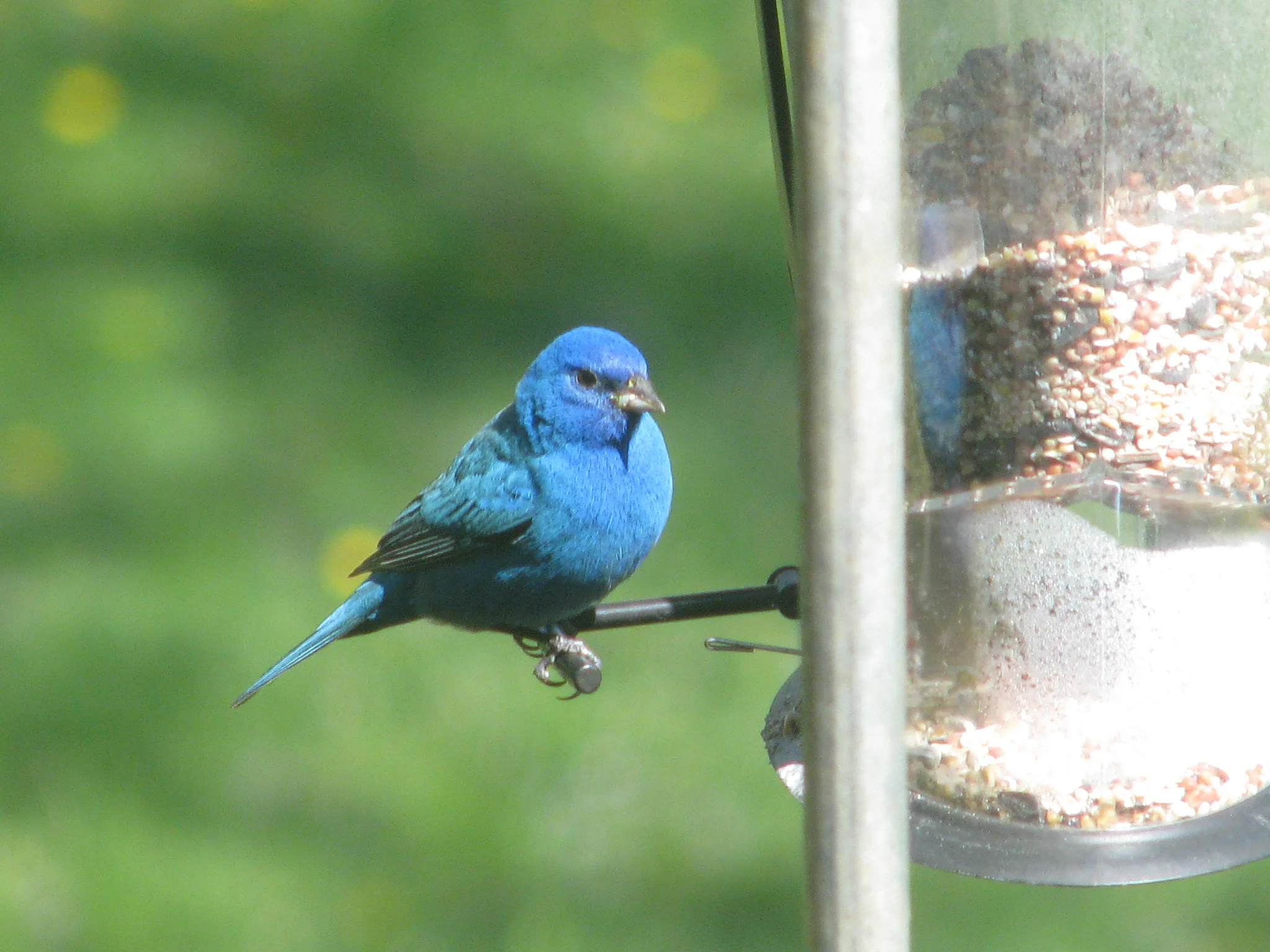 IMG_3539.webp