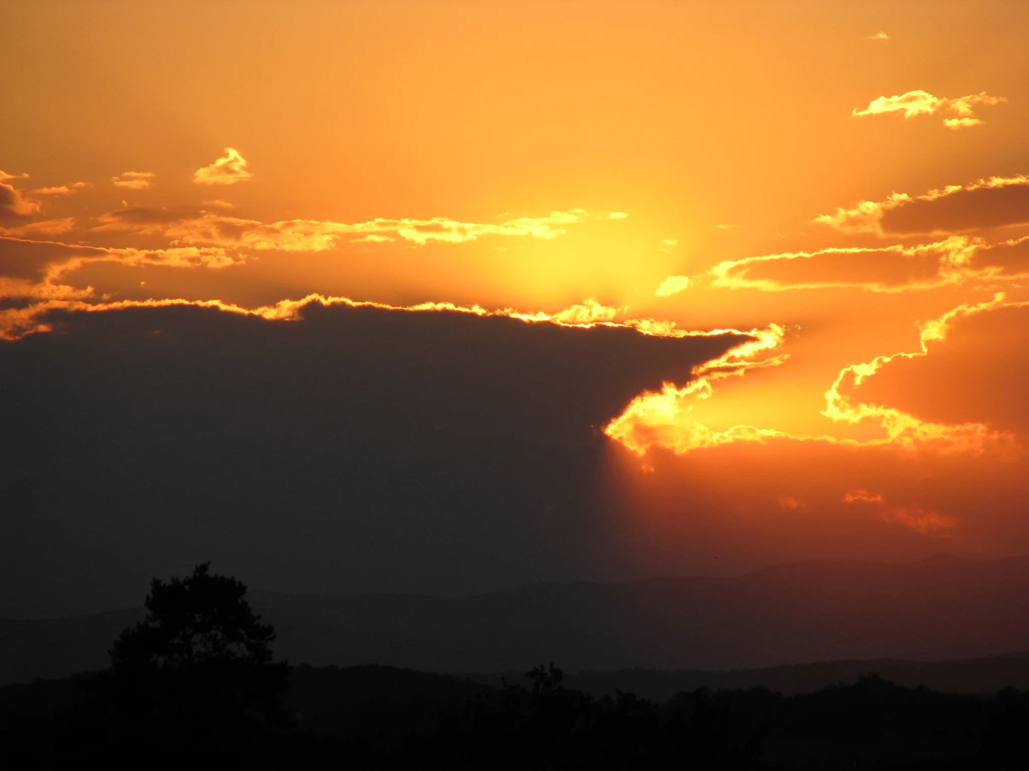 IMG_3566.webp