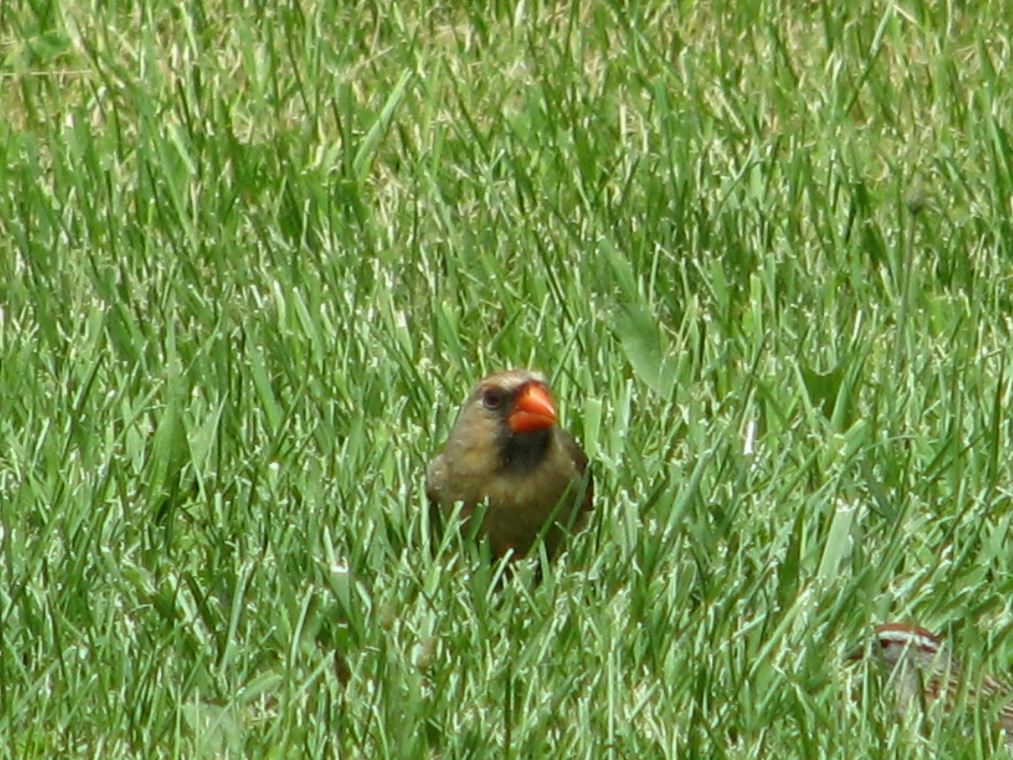 IMG_3588.webp