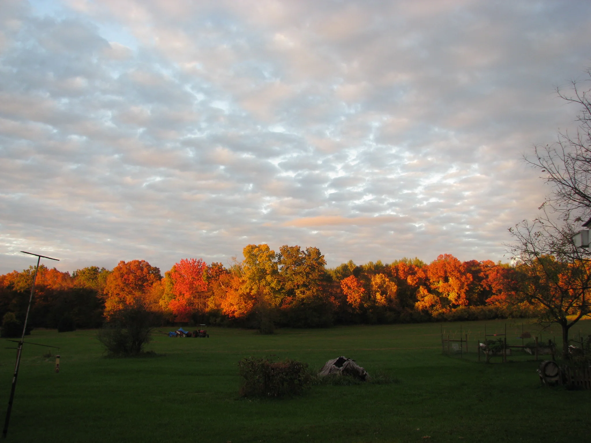IMG_3634.webp