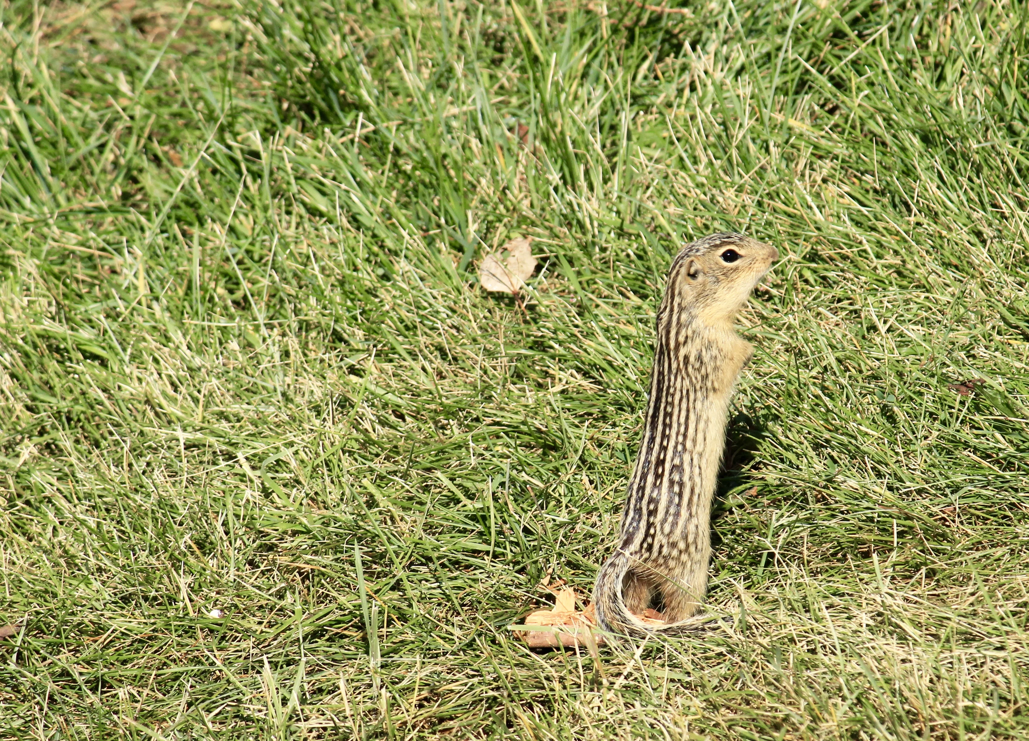 IMG_3755.webp