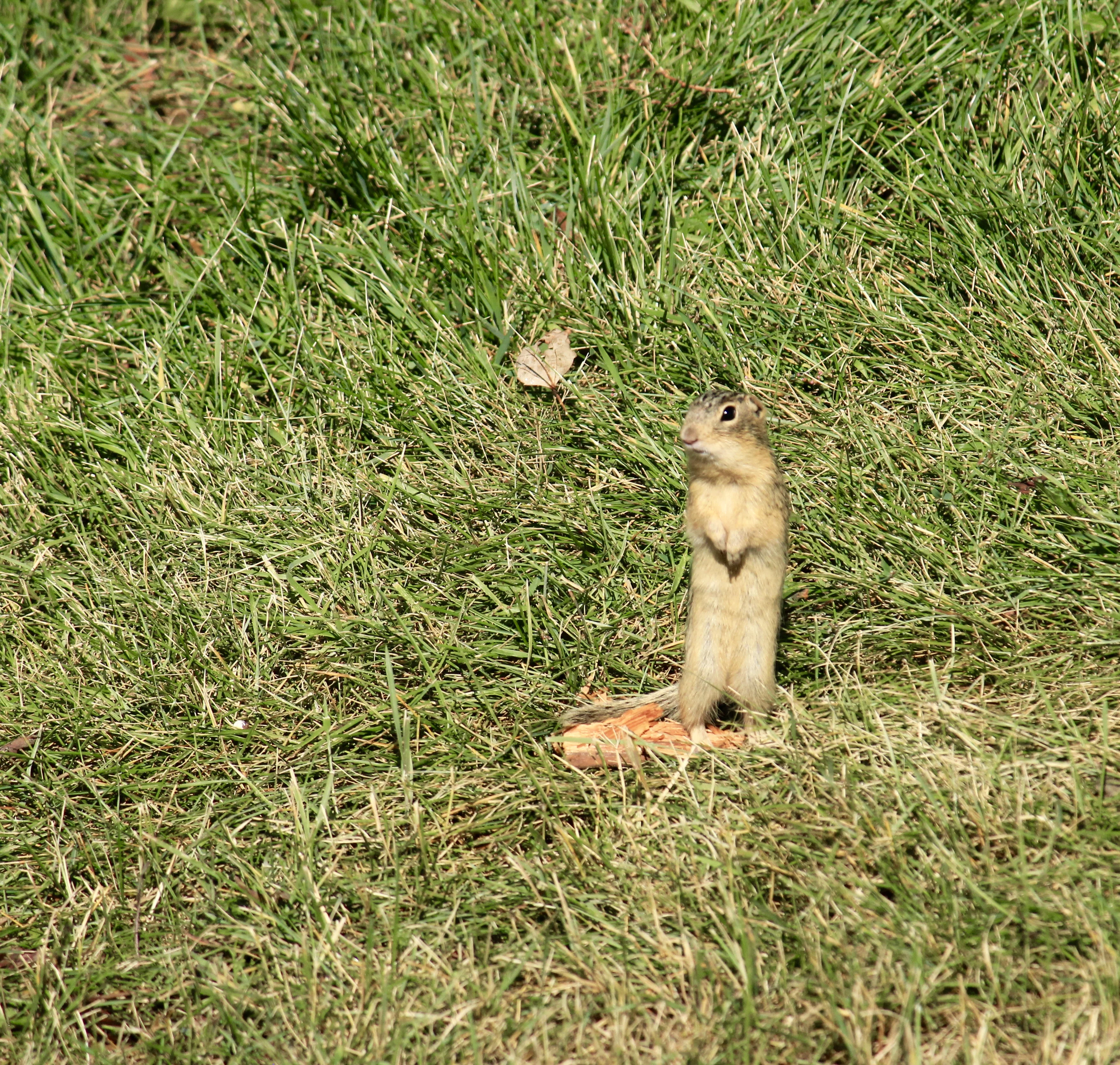 IMG_3757.webp