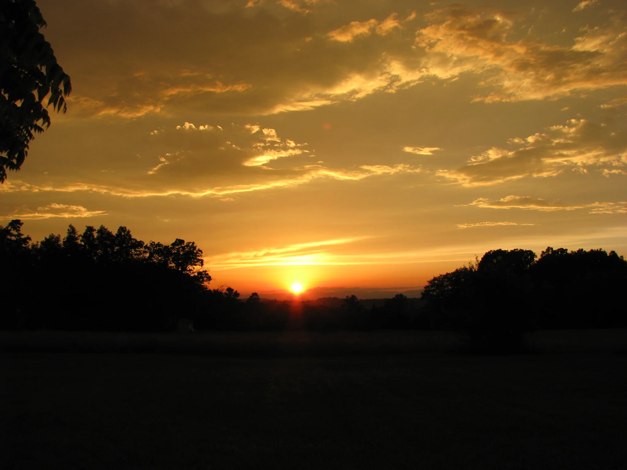 IMG_3845.webp