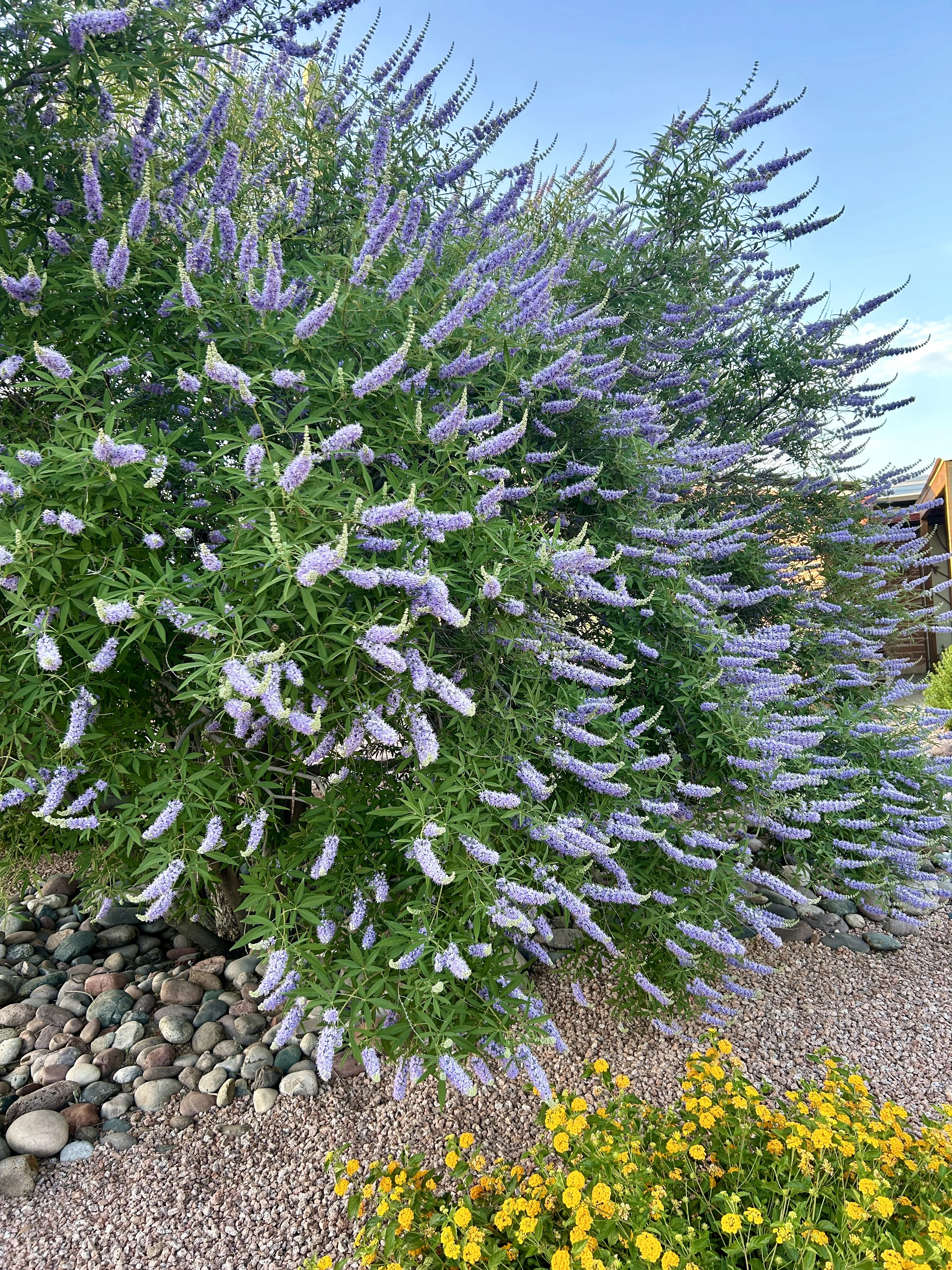 IMG_4047.webp