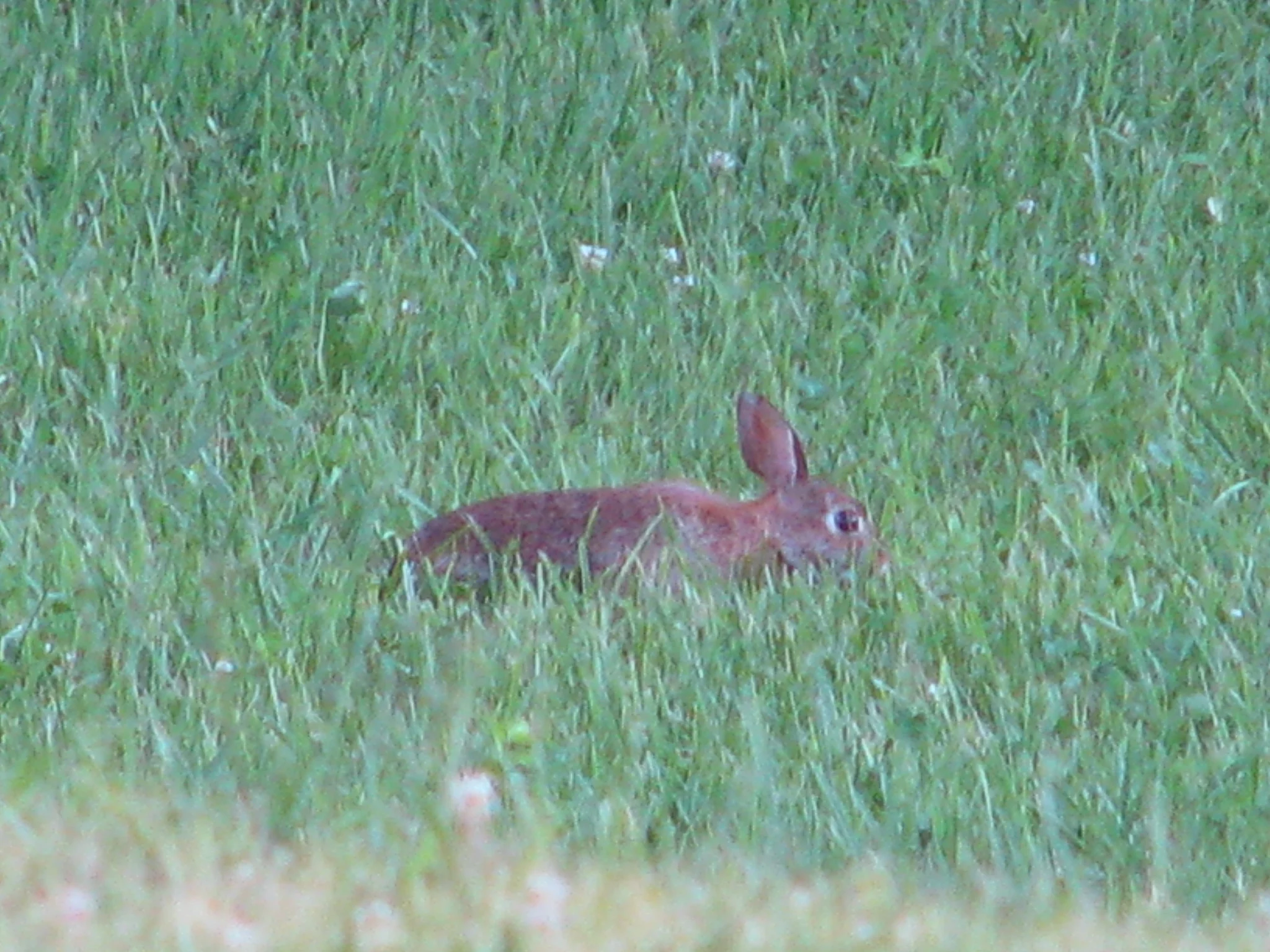 IMG_4145.webp