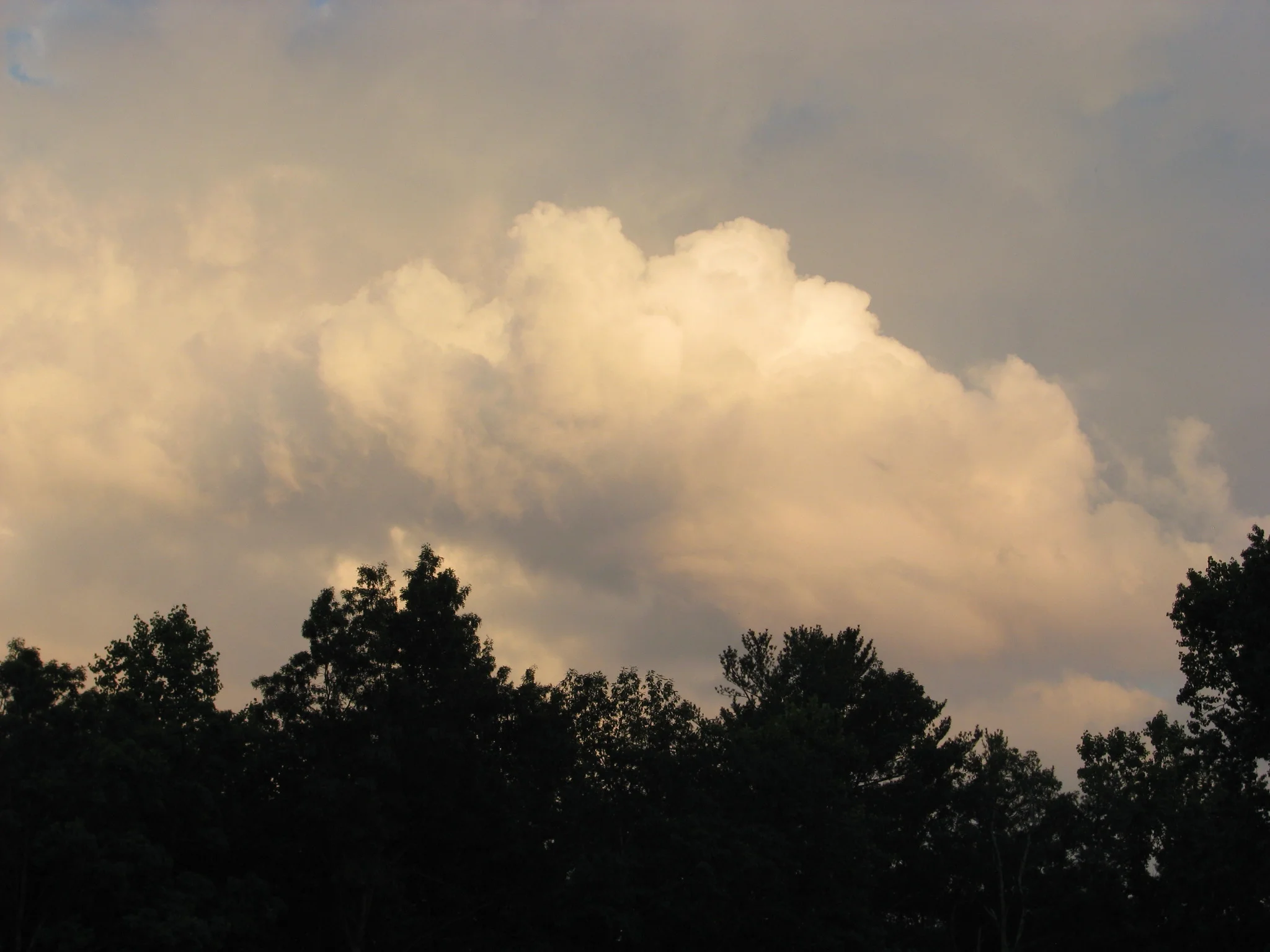 IMG_4171.webp