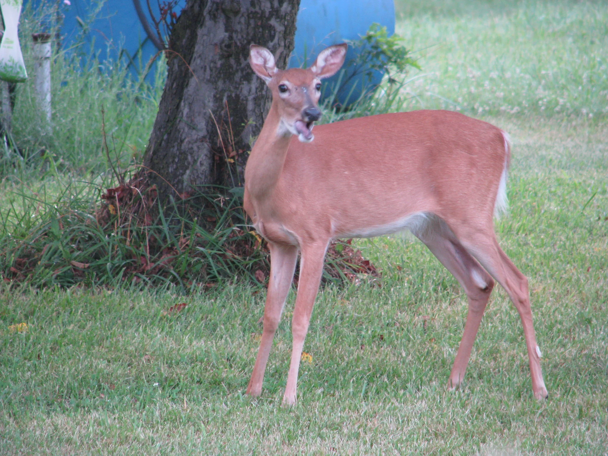 IMG_4222.webp