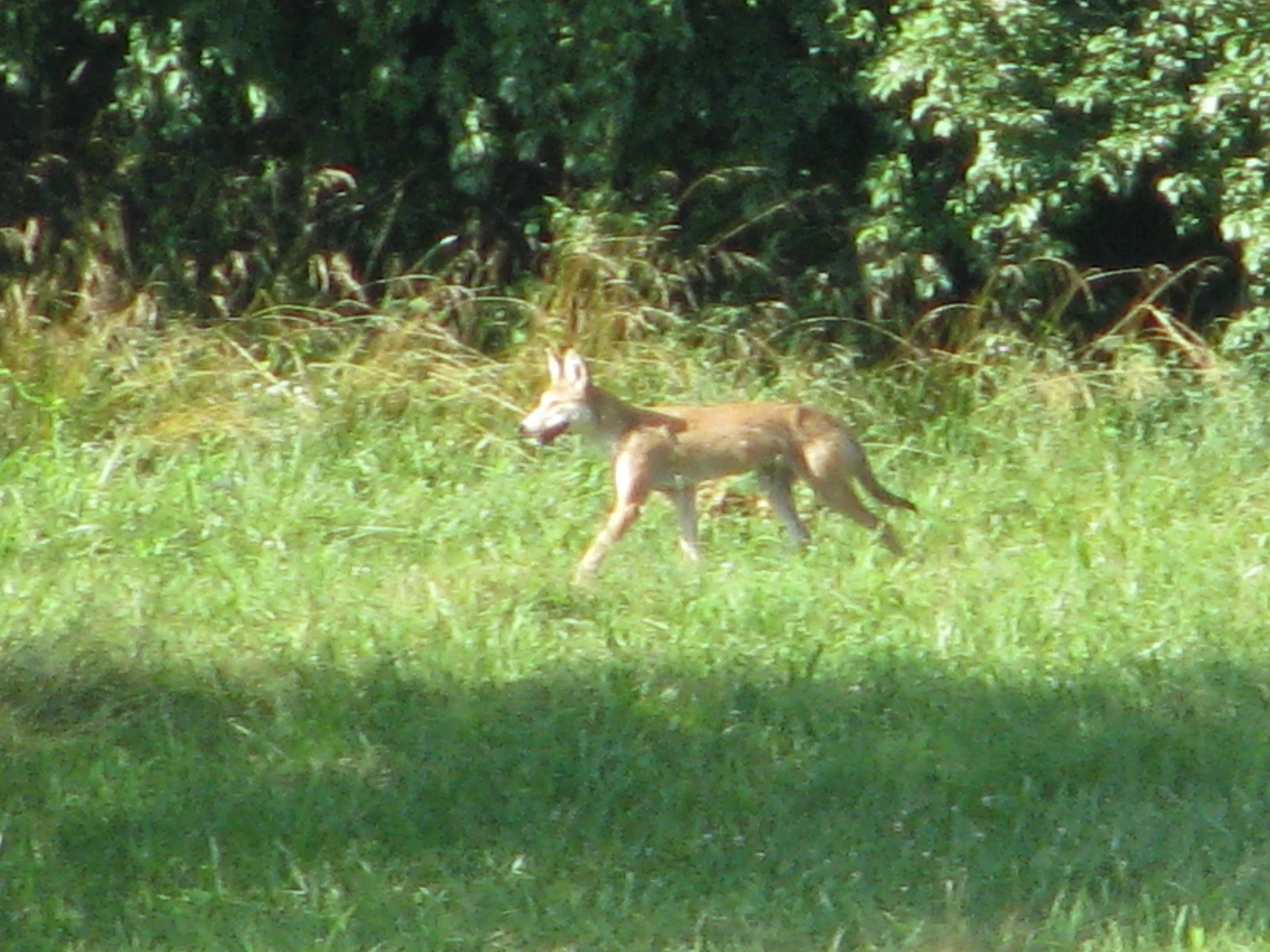 IMG_4229.webp