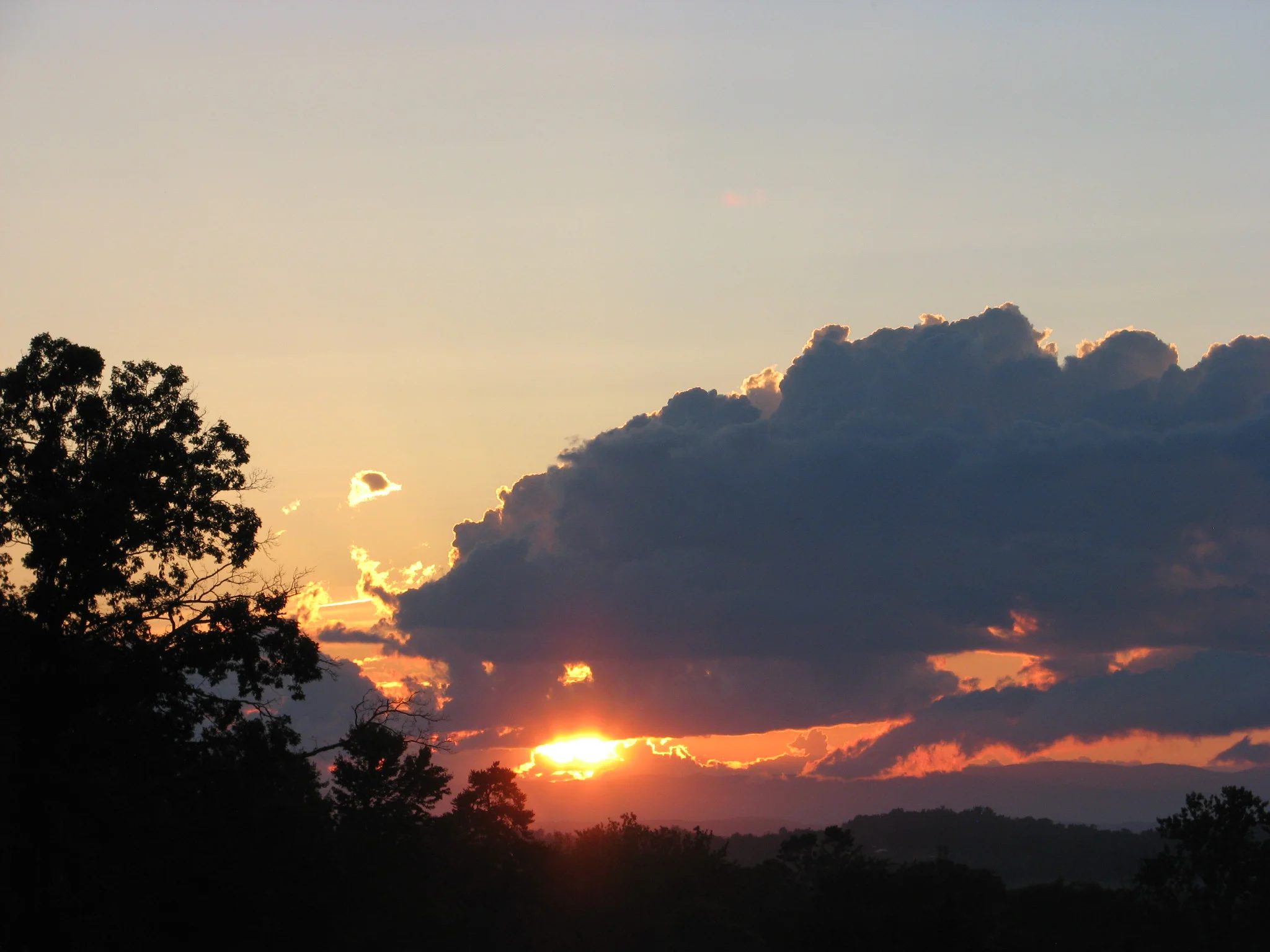IMG_4344.webp