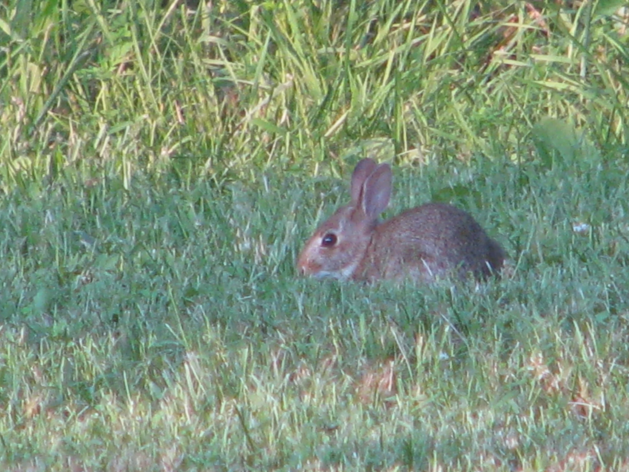 IMG_4454.webp