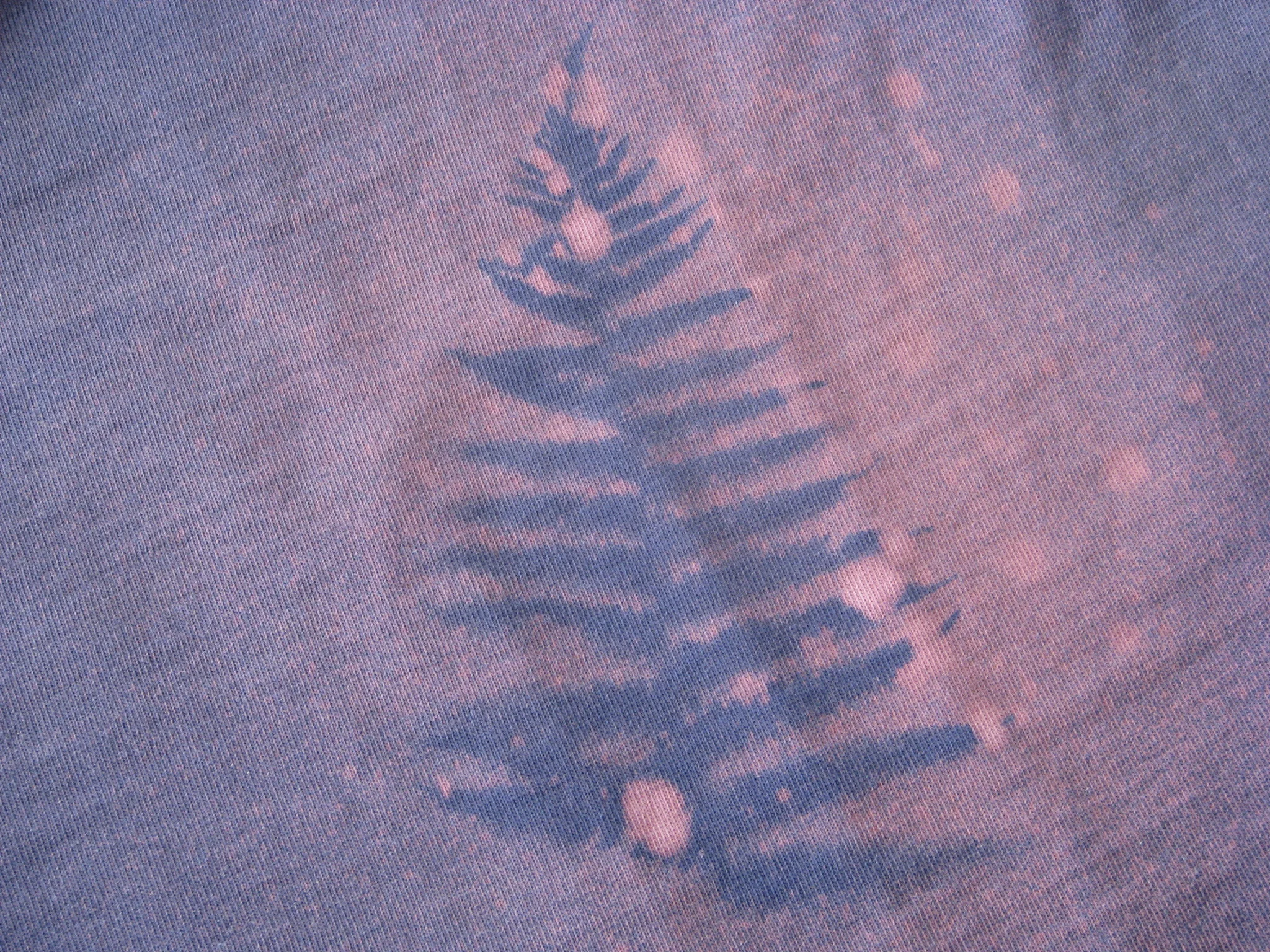 IMG_4942.webp