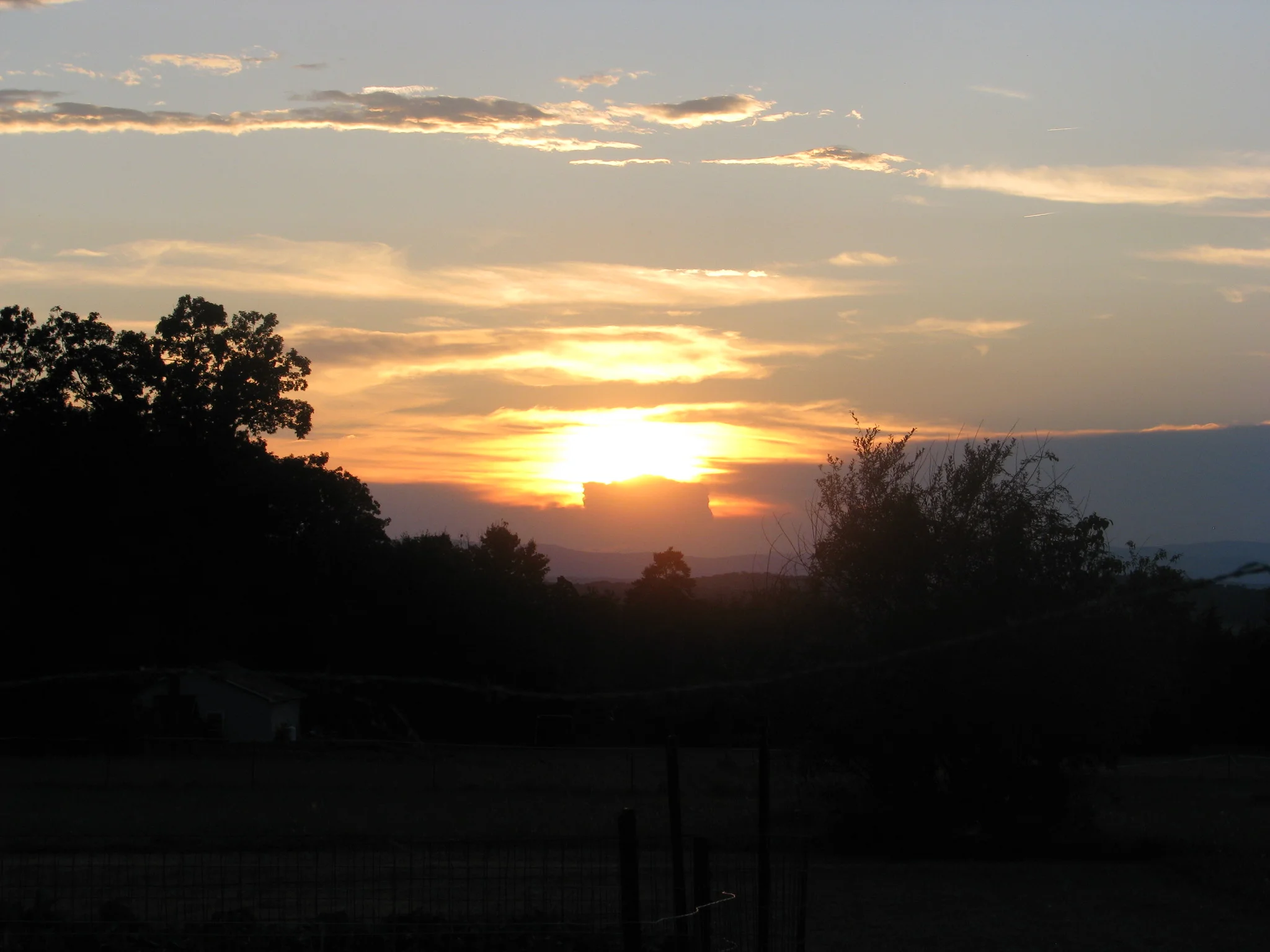 IMG_5115.webp
