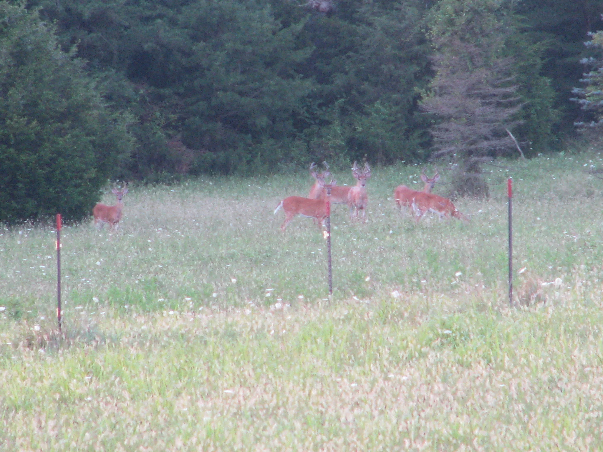 IMG_5599.webp
