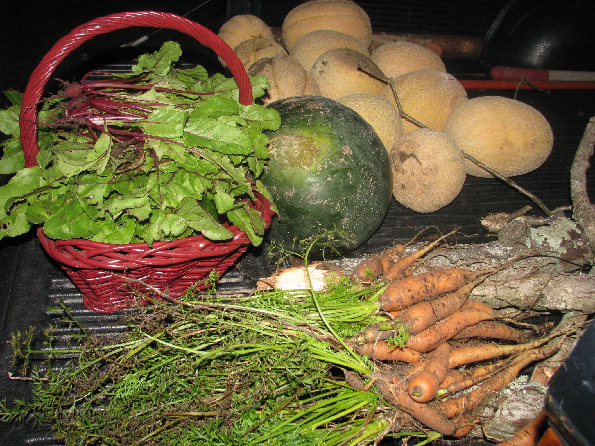IMG_5620.webp