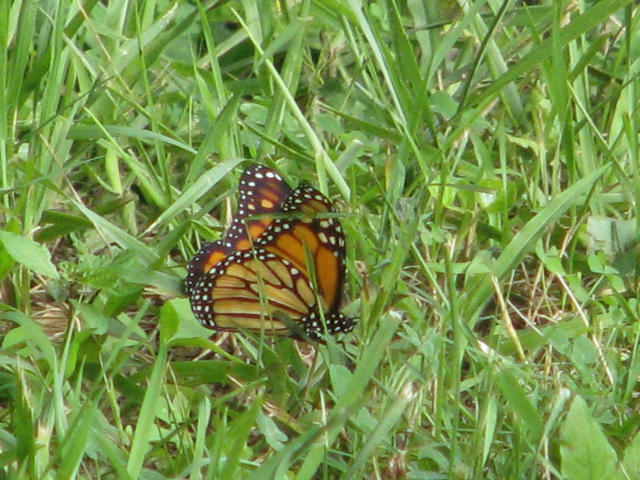 IMG_5765.webp