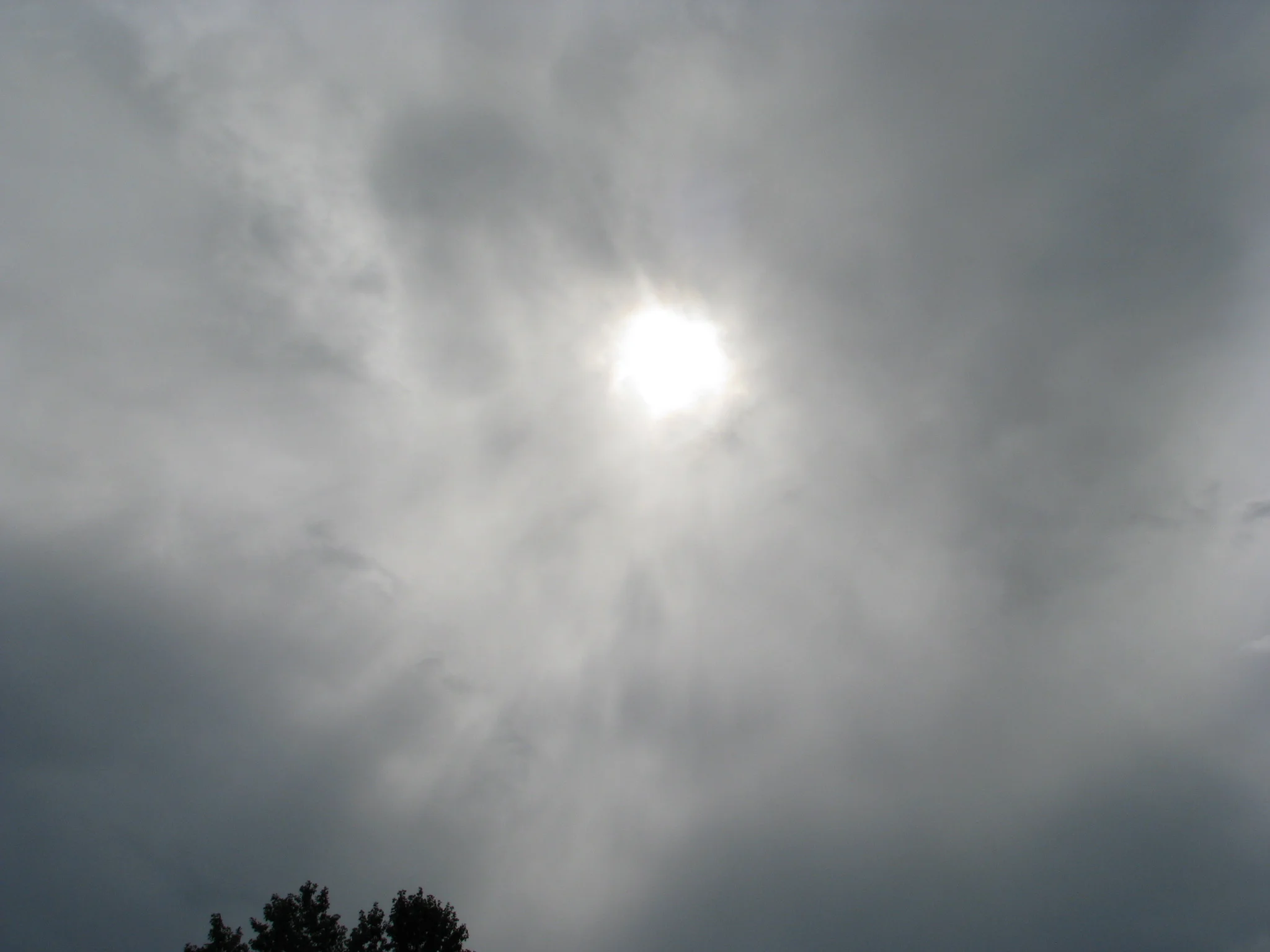 IMG_6370.webp