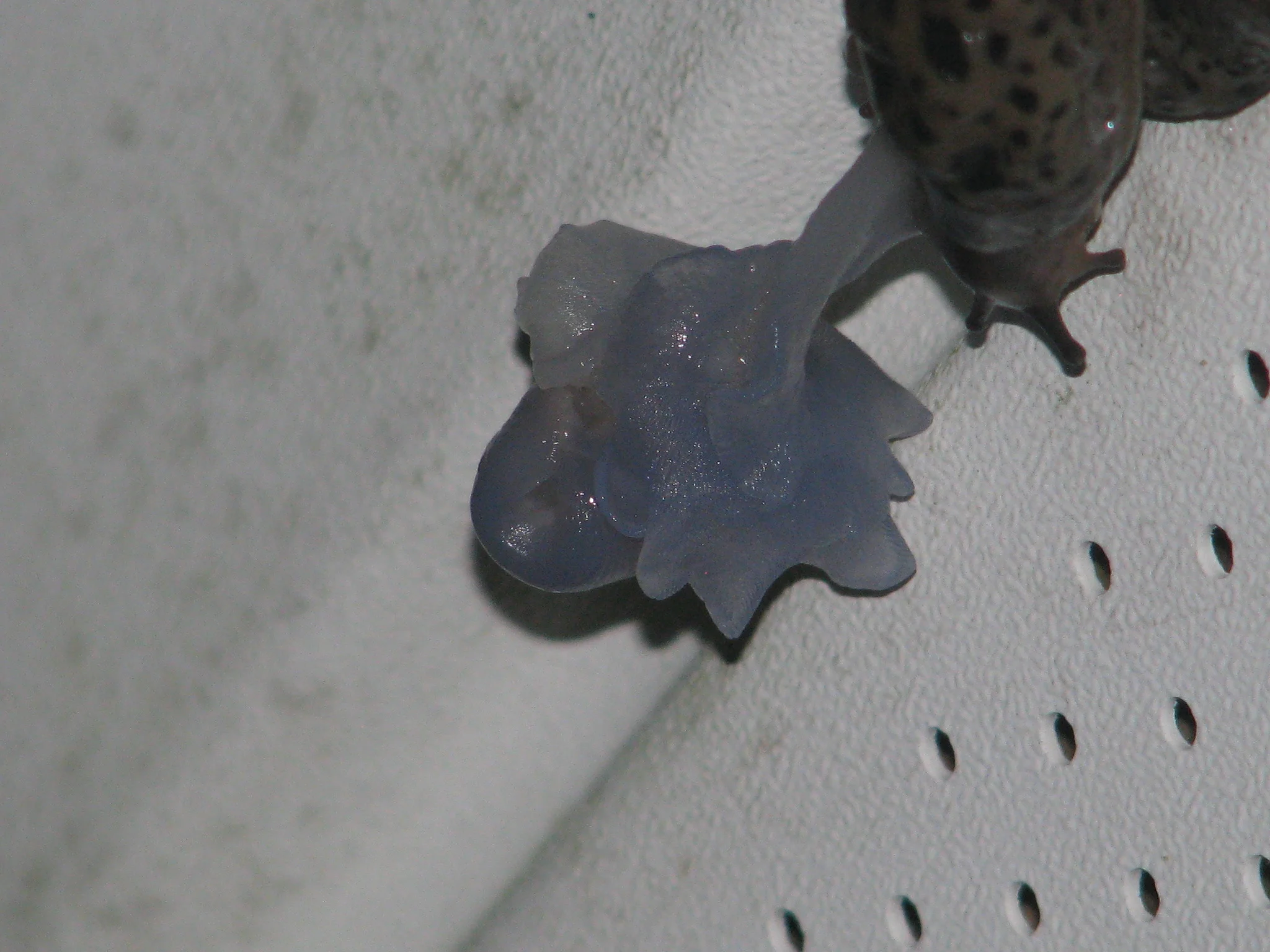 IMG_6453.webp