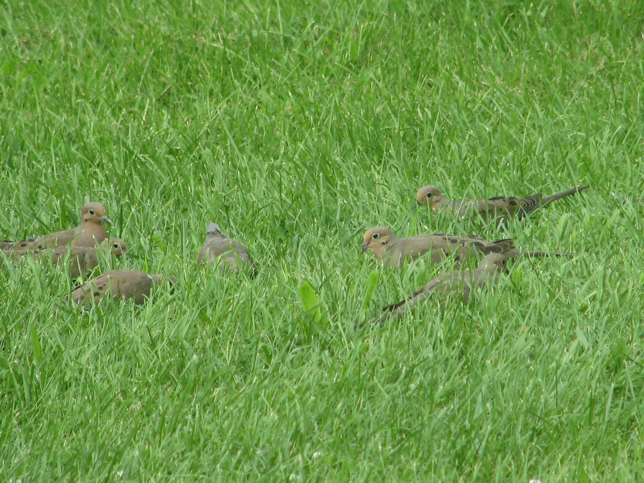 IMG_6492.webp