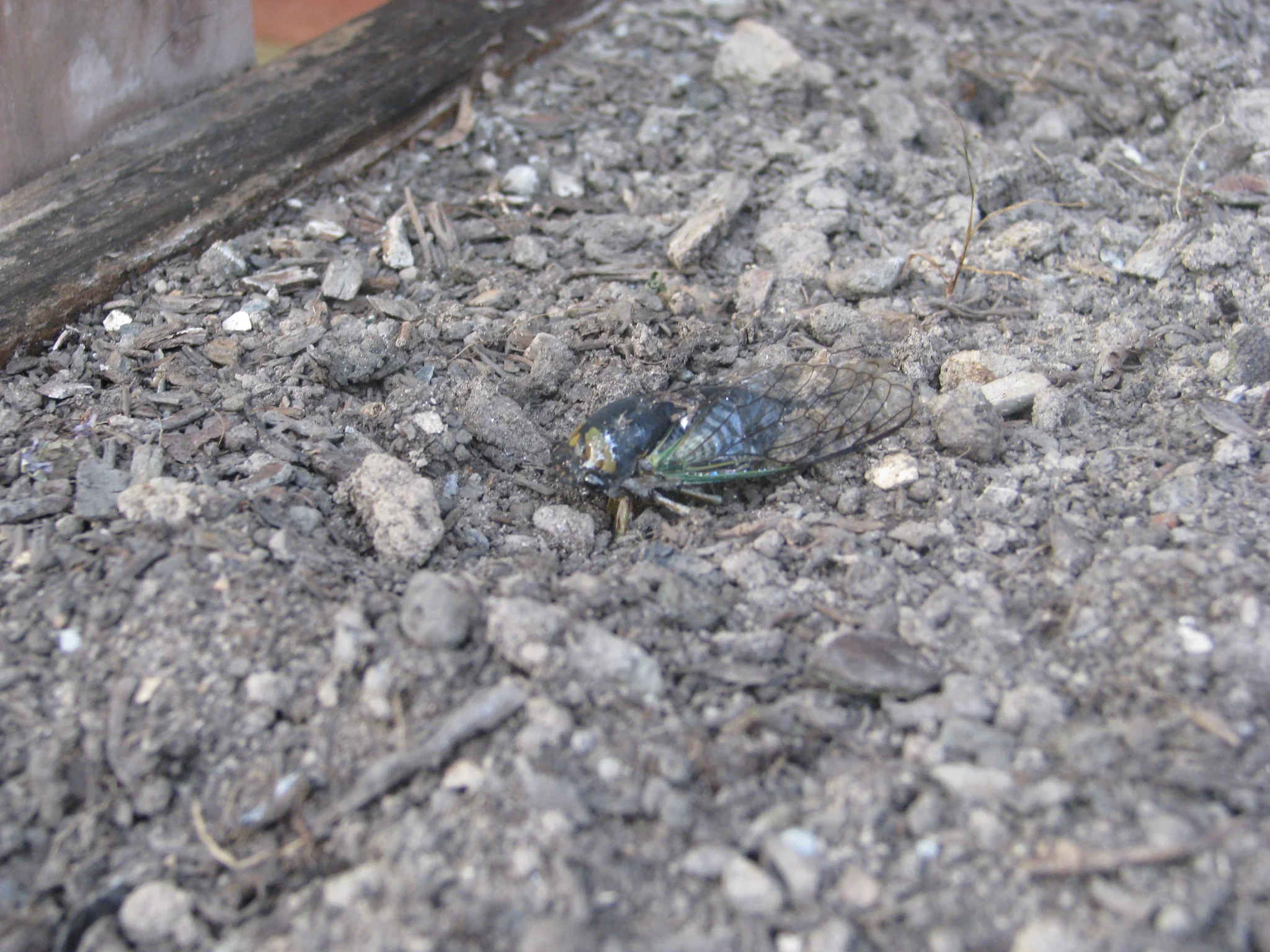 IMG_6564.webp