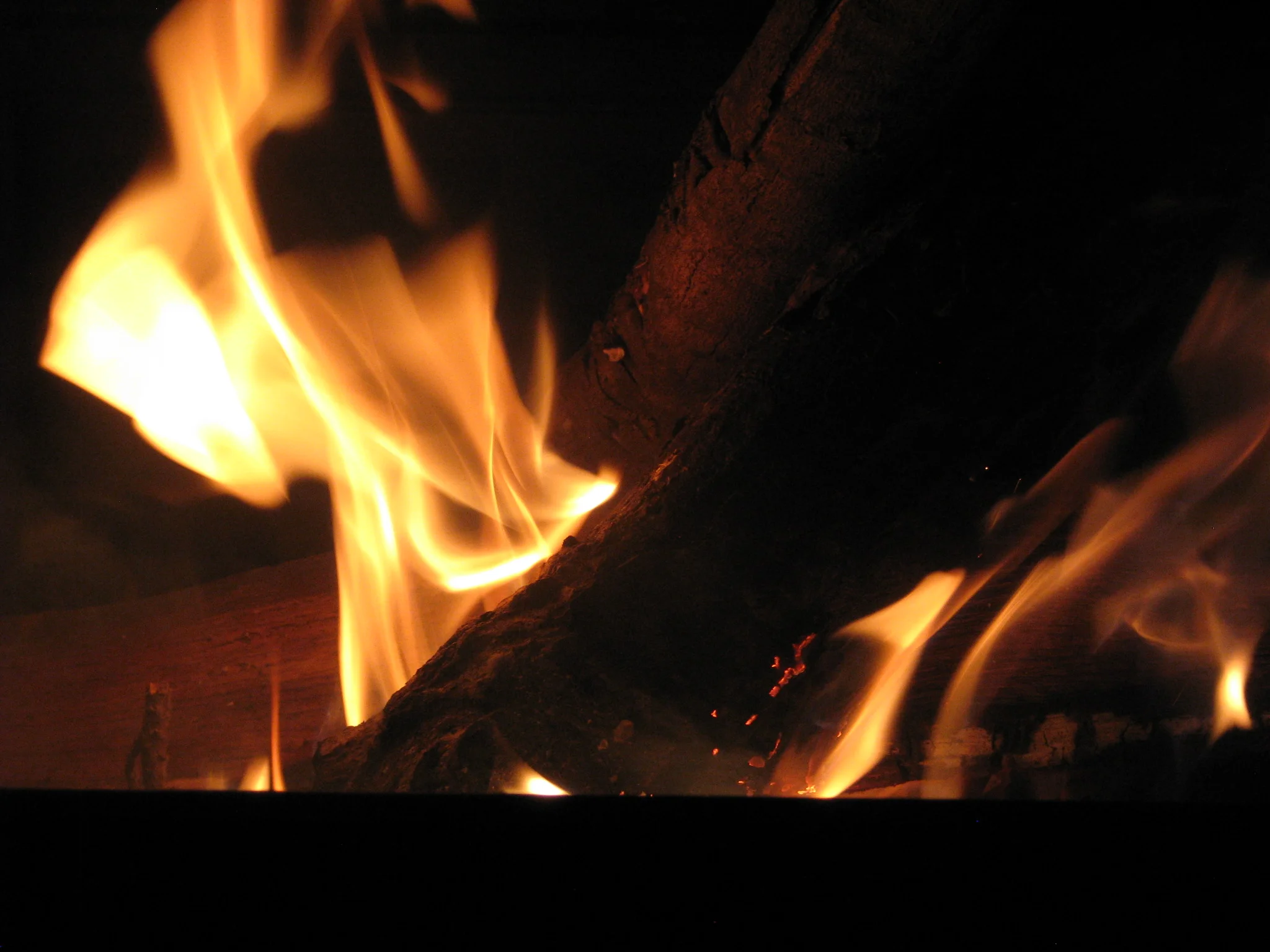 IMG_6904.webp