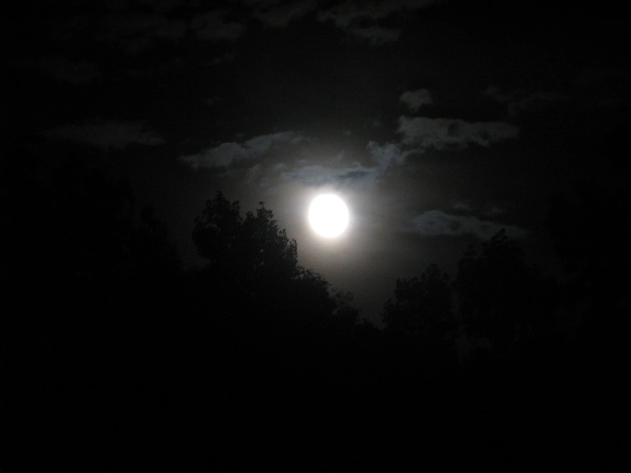 IMG_7029.webp