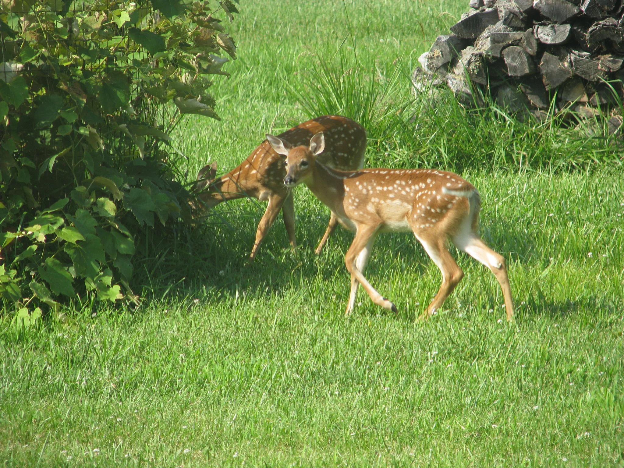 IMG_7272.webp