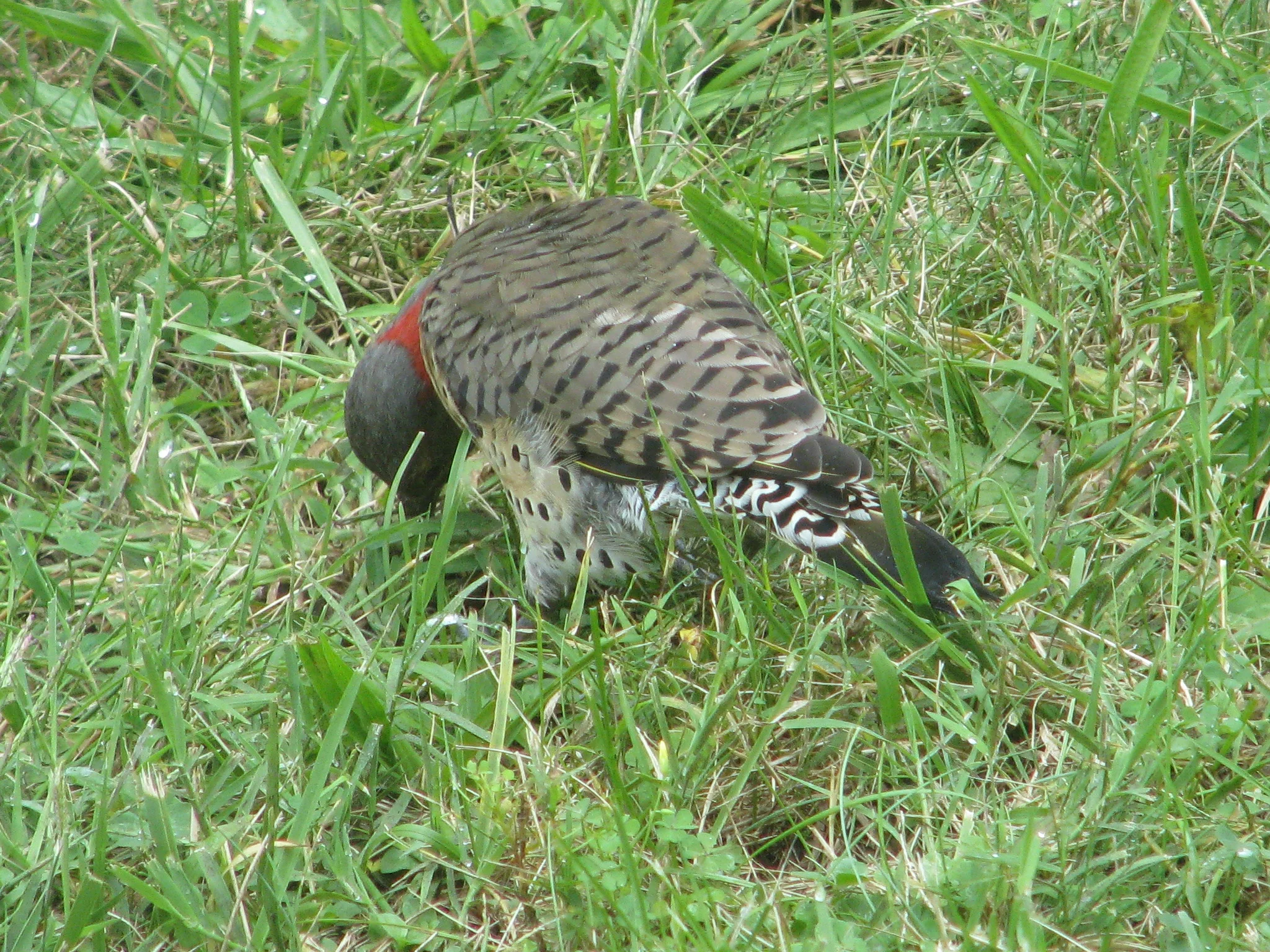 IMG_7290.webp