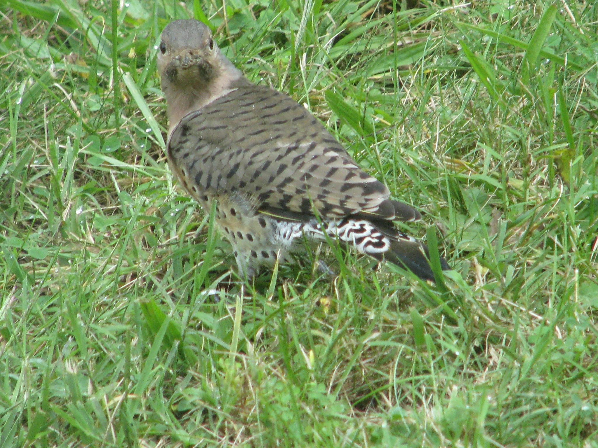IMG_7297.webp