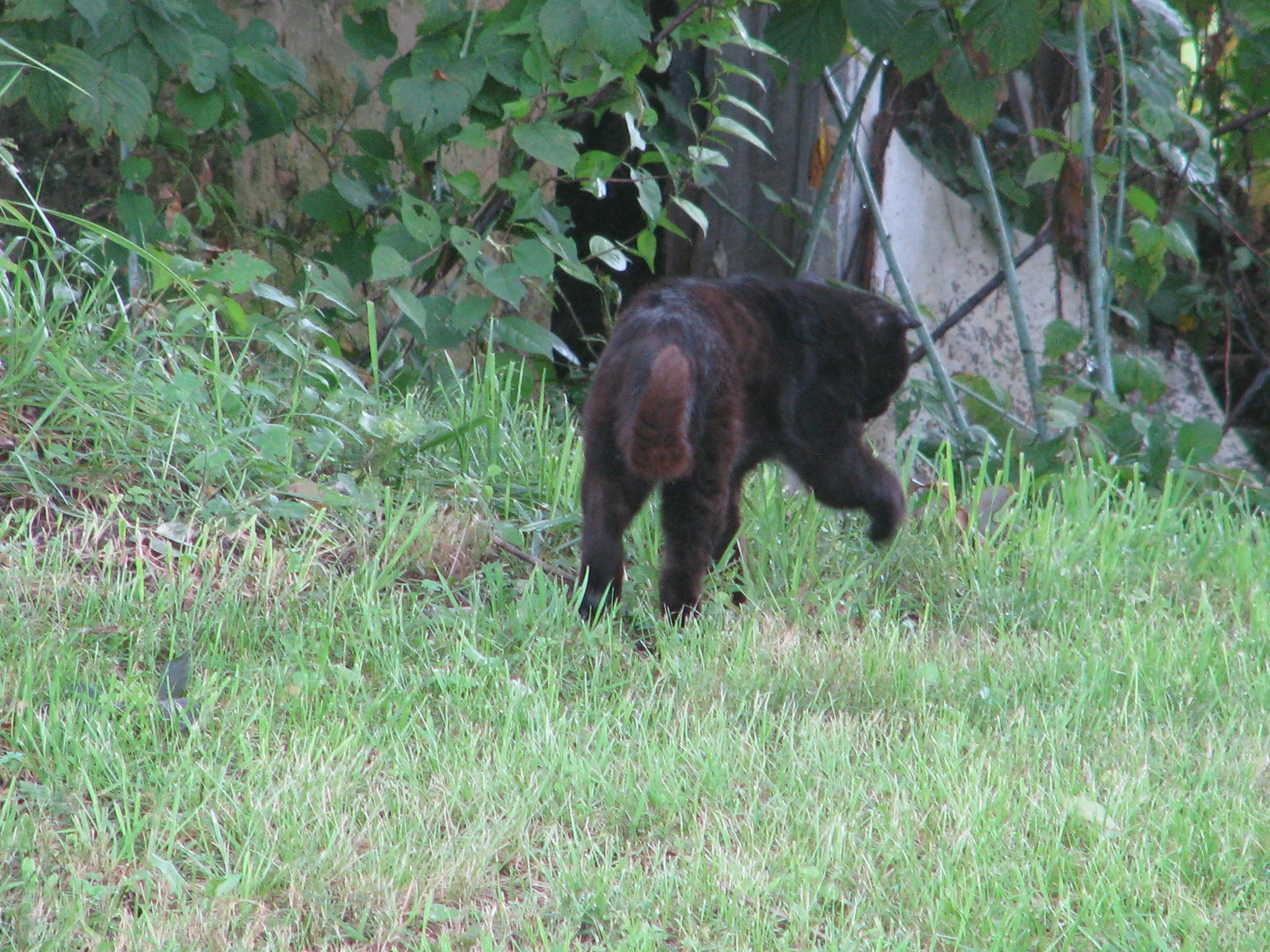 IMG_7336.webp