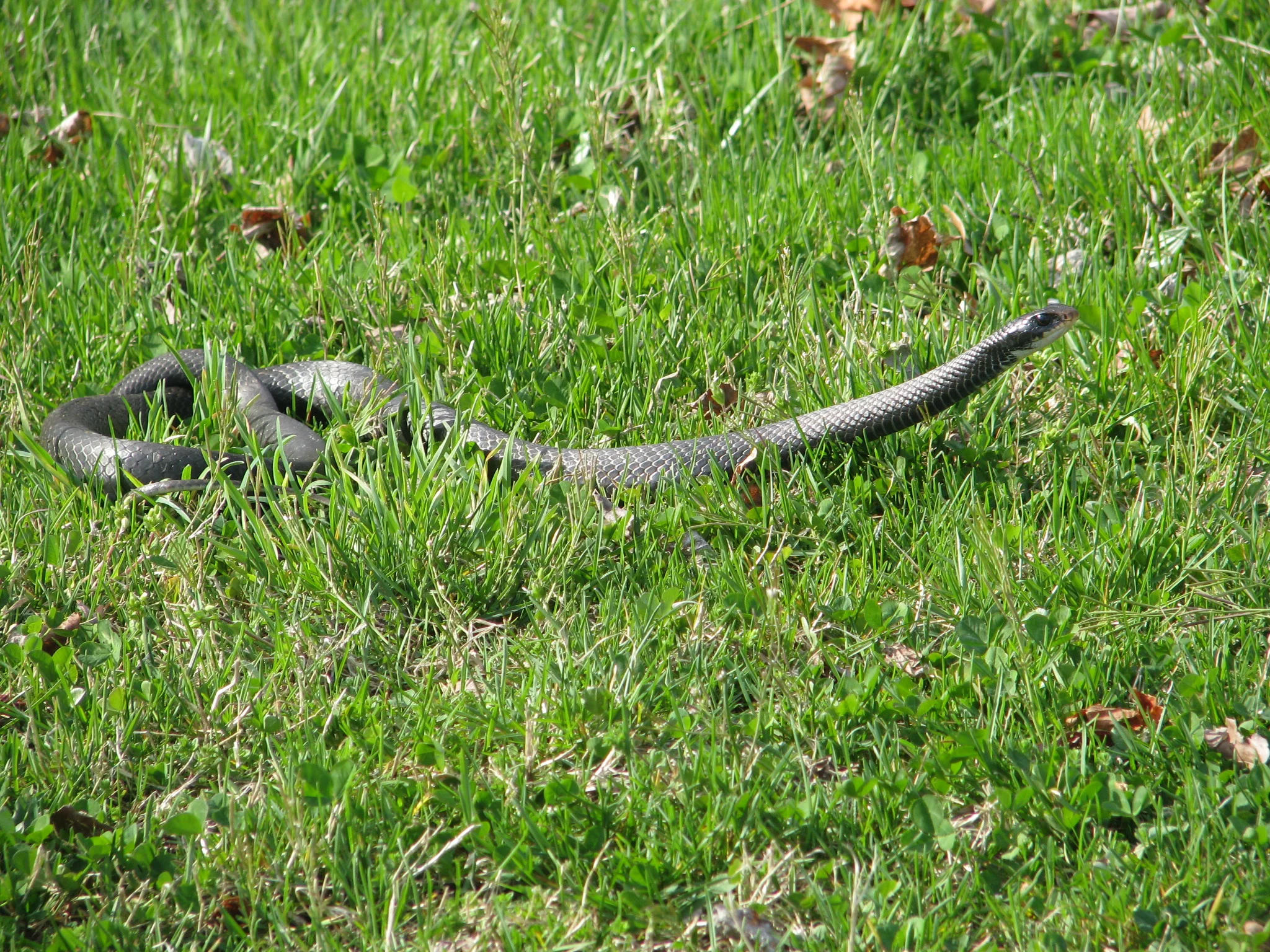 IMG_8430.webp