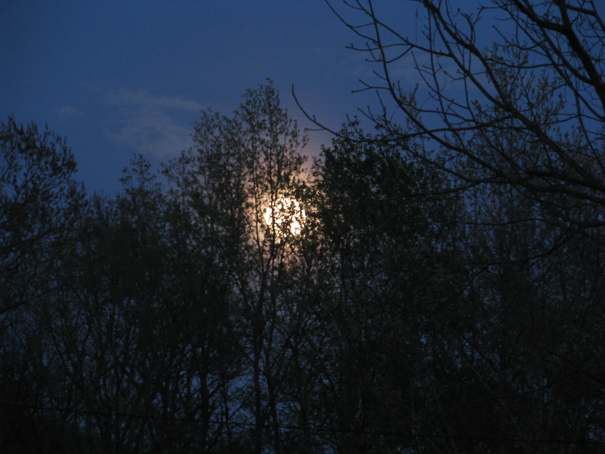 IMG_8493.webp