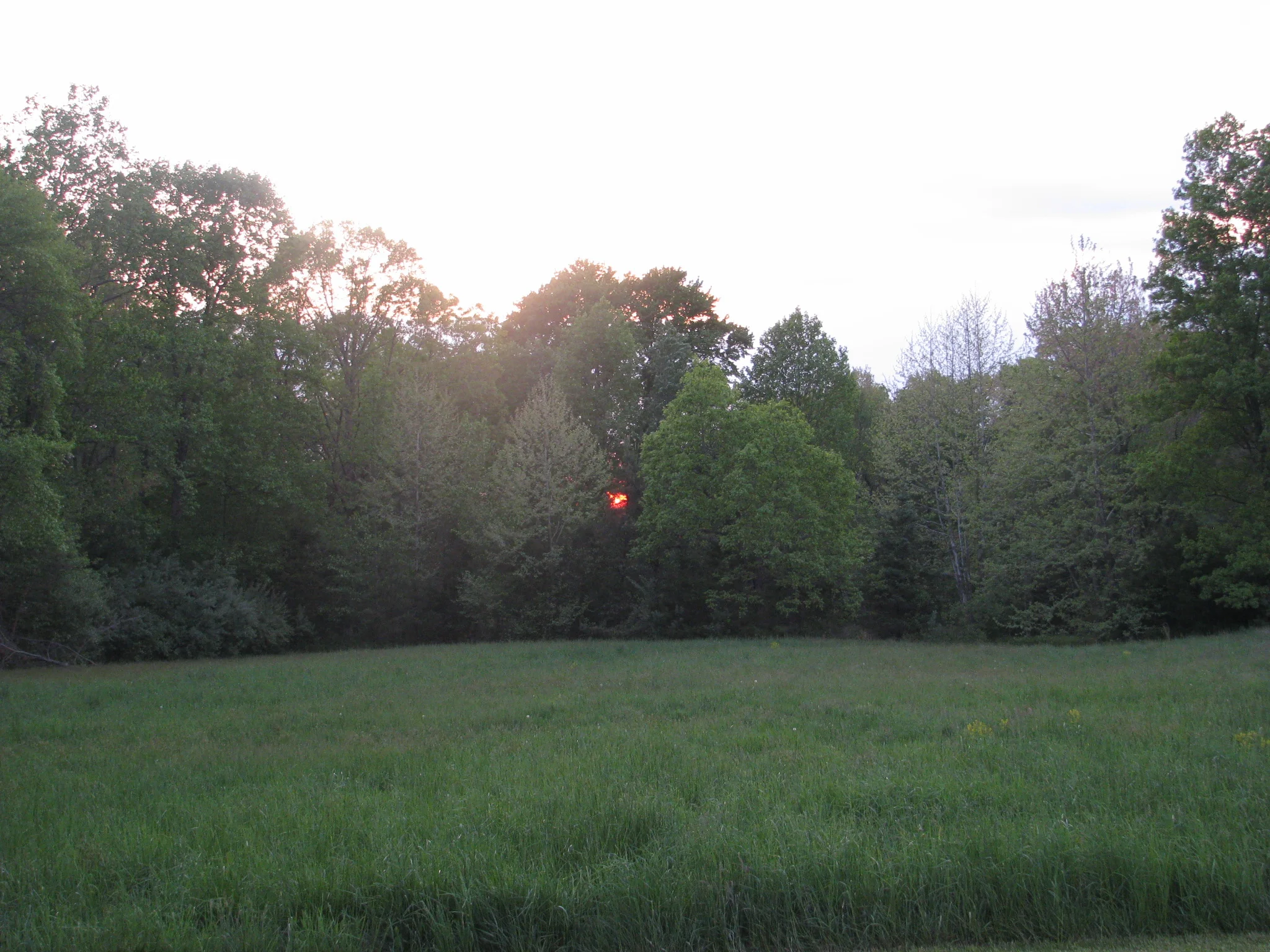 IMG_8567.webp