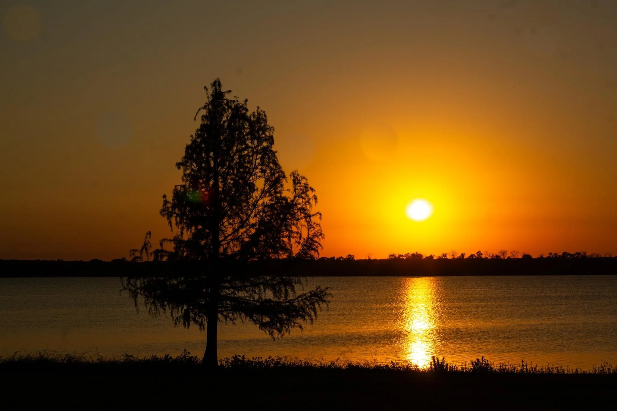 IMG_8904.webp