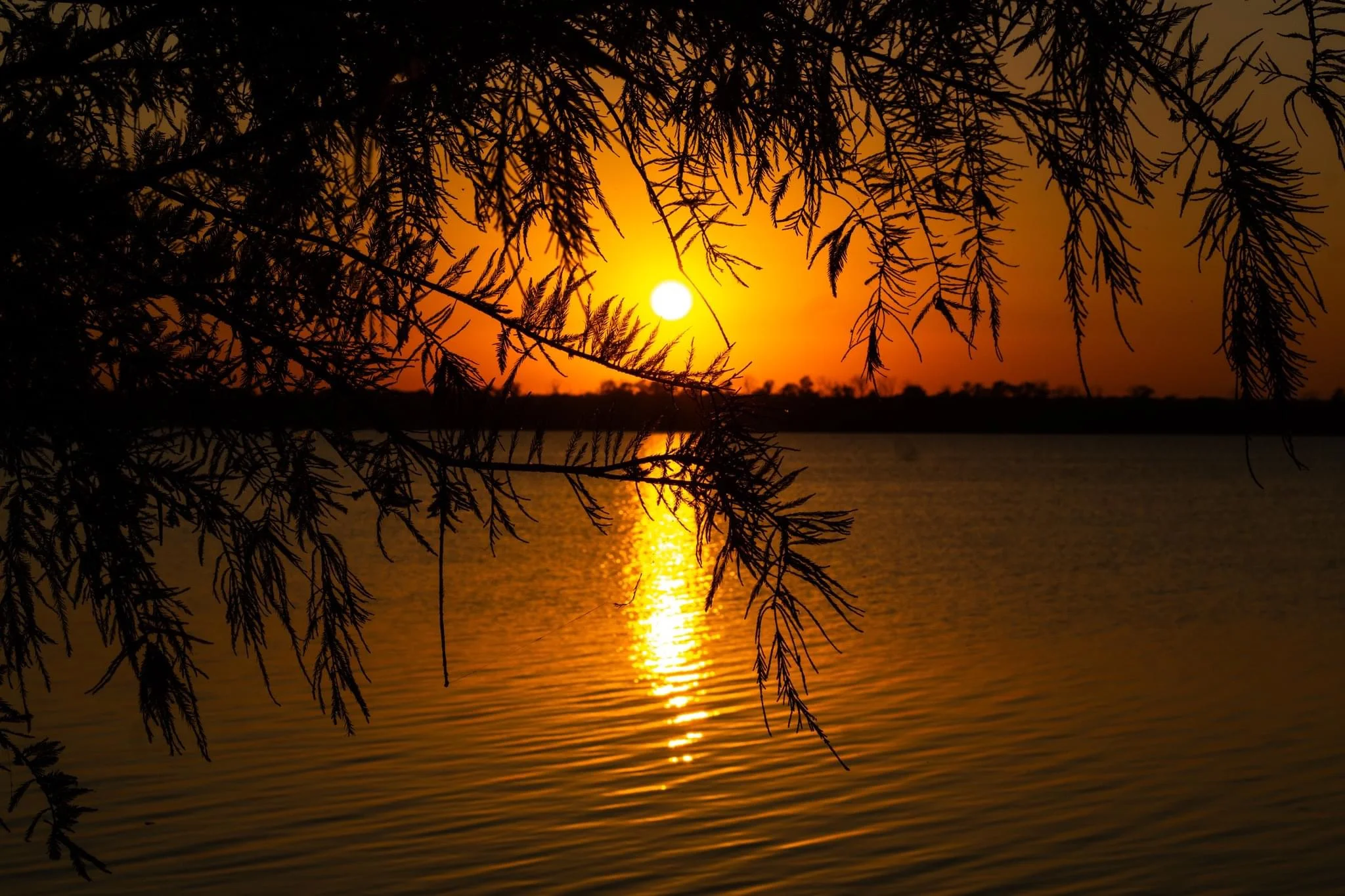 IMG_8906.webp