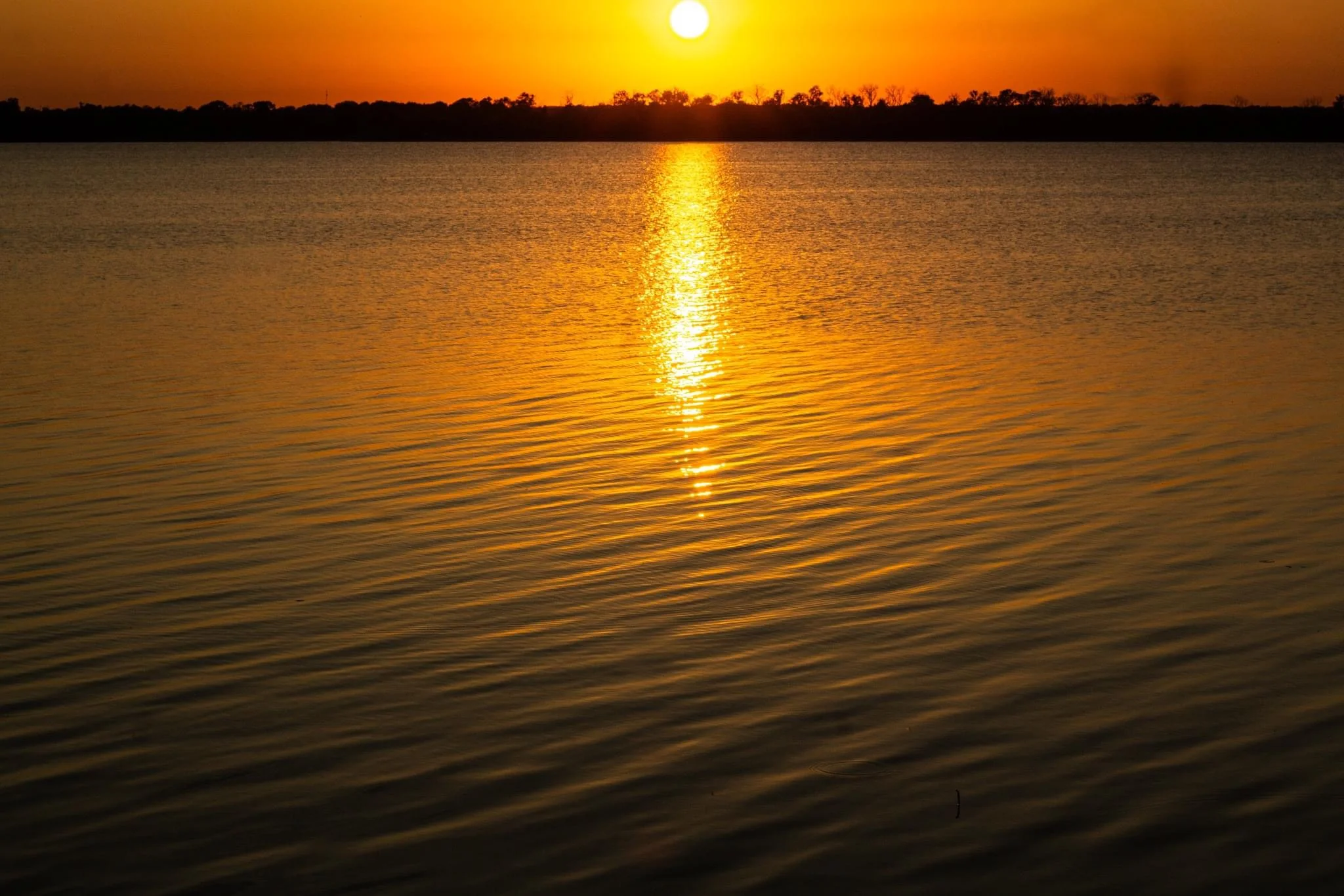 IMG_8907.webp