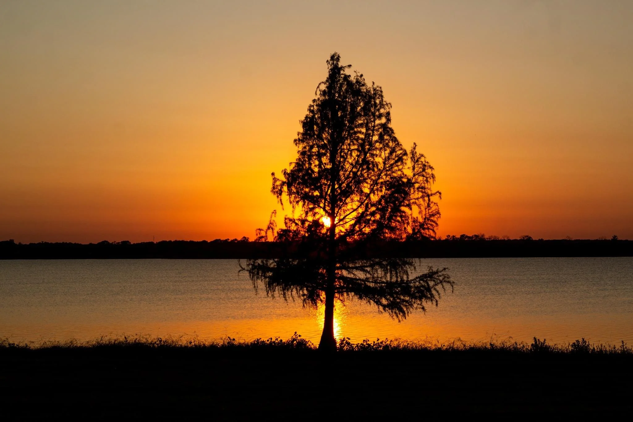 IMG_8908.webp