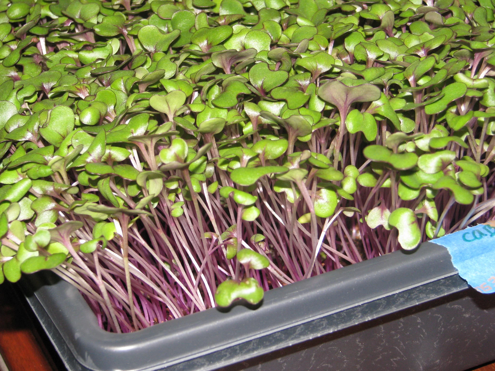 IMG_9026.webp