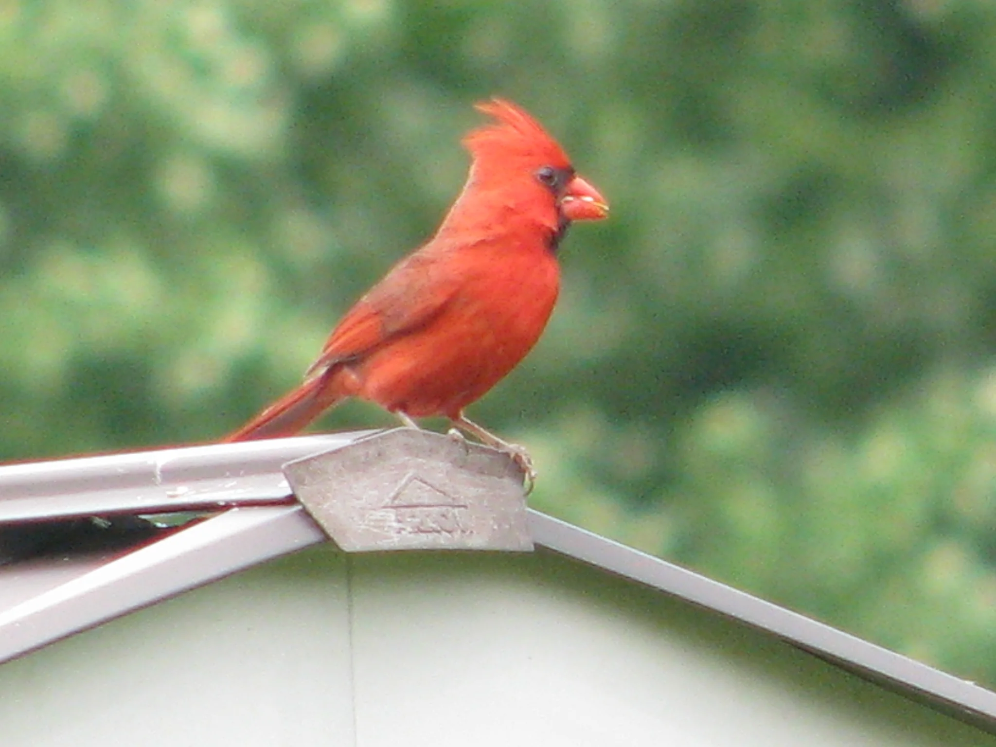 IMG_9139.webp