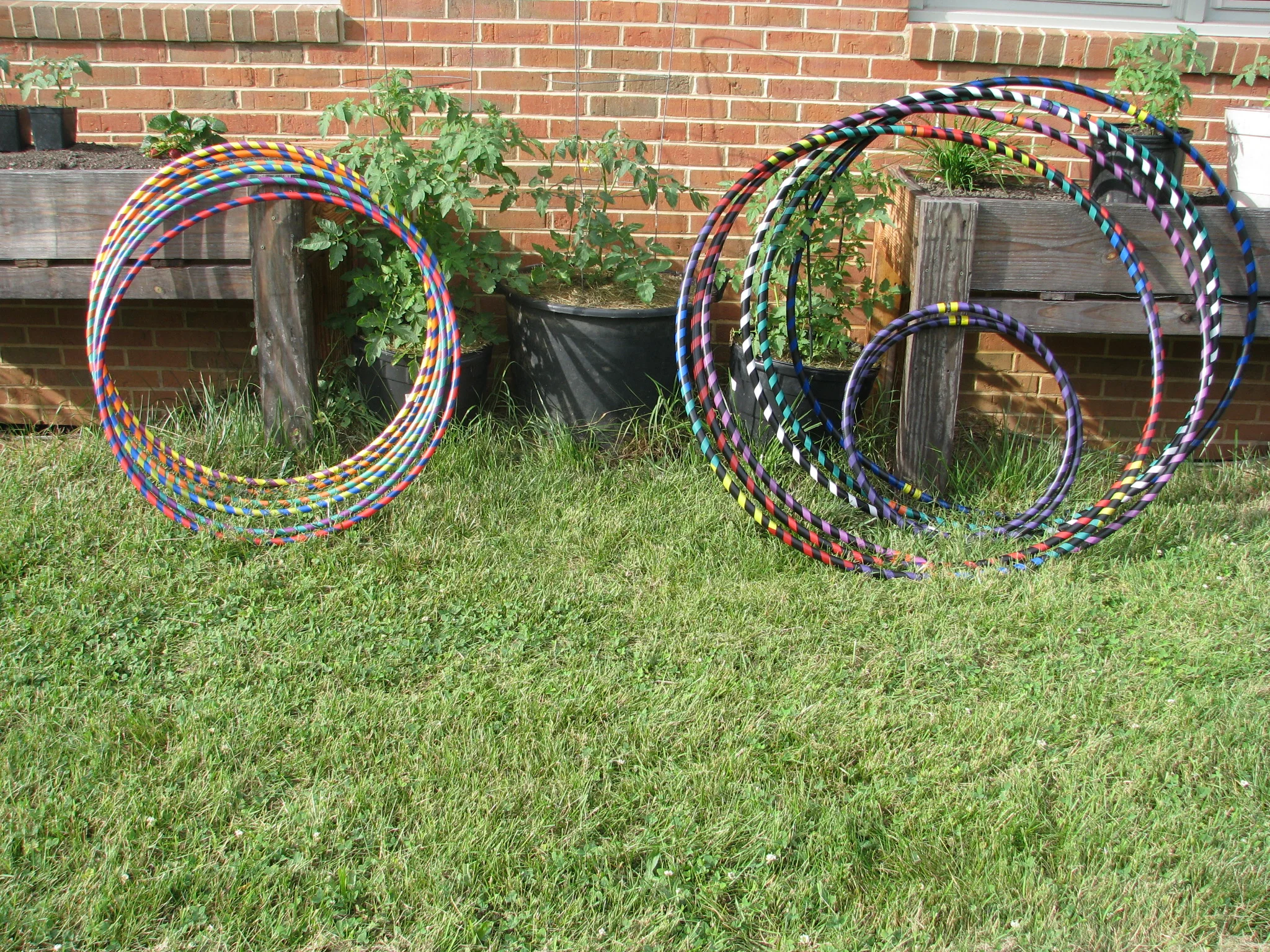 IMG_9165.webp