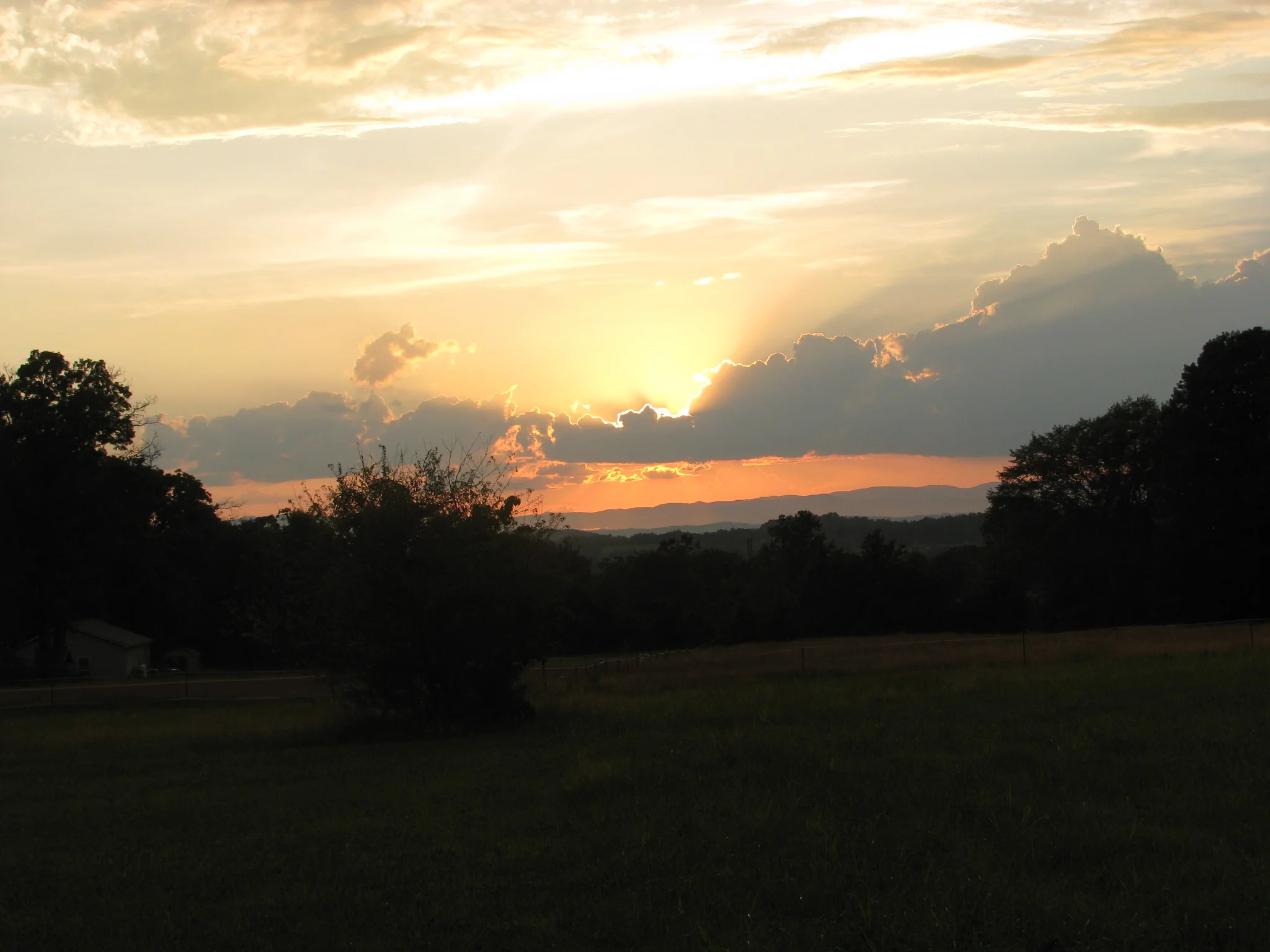 IMG_9343.webp