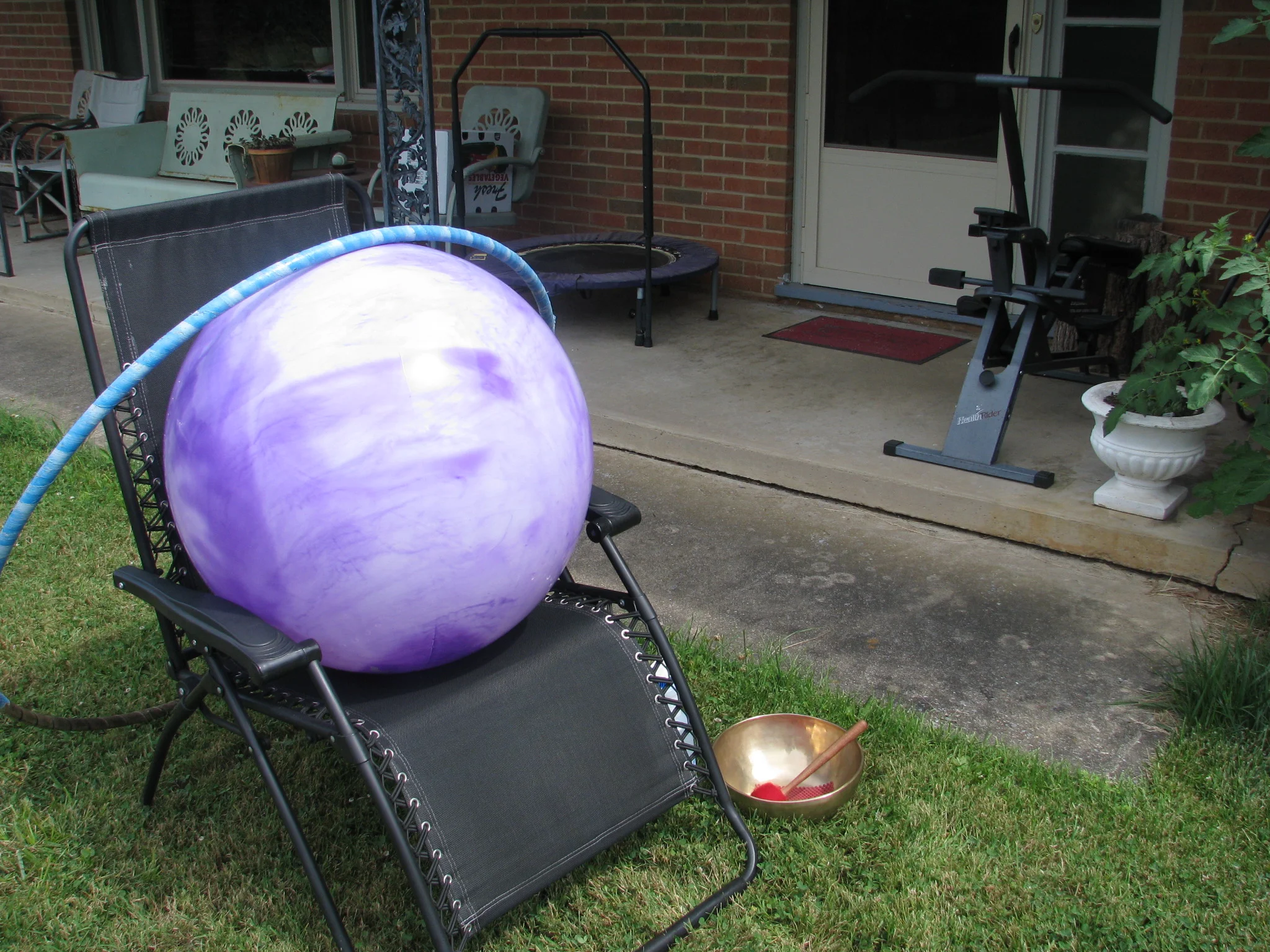 IMG_9387.webp