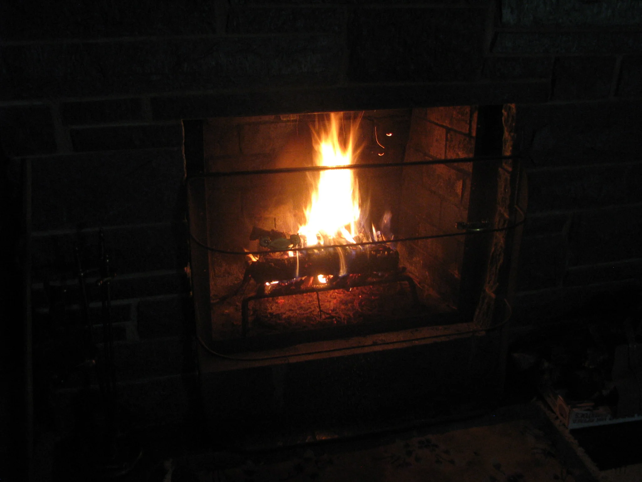 IMG_9475.webp