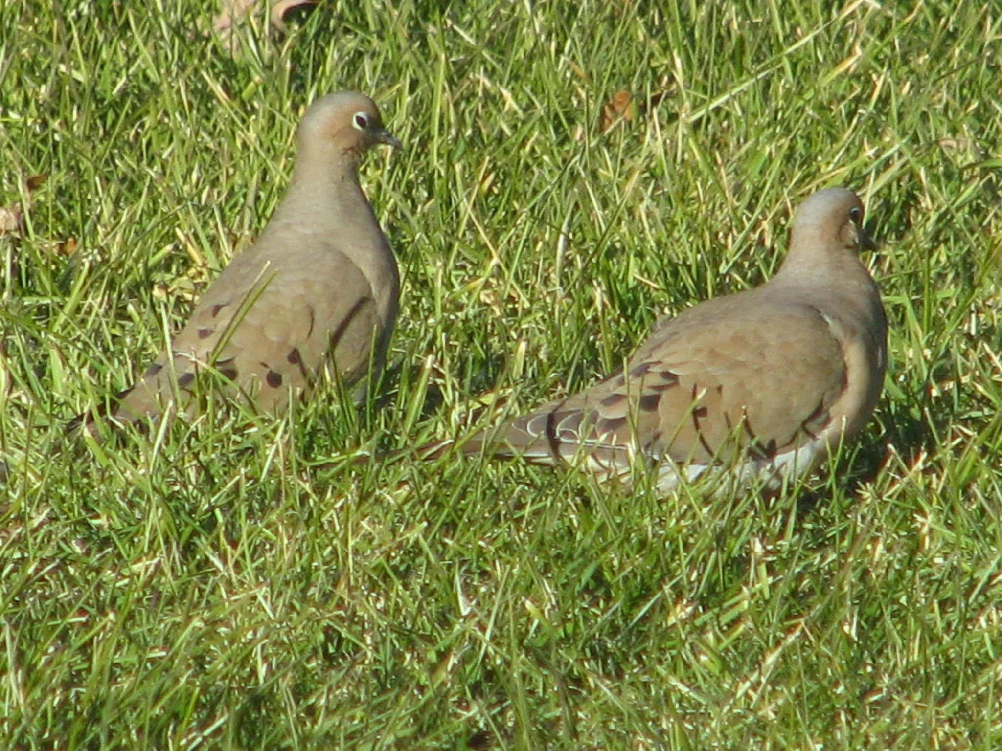IMG_9592.webp