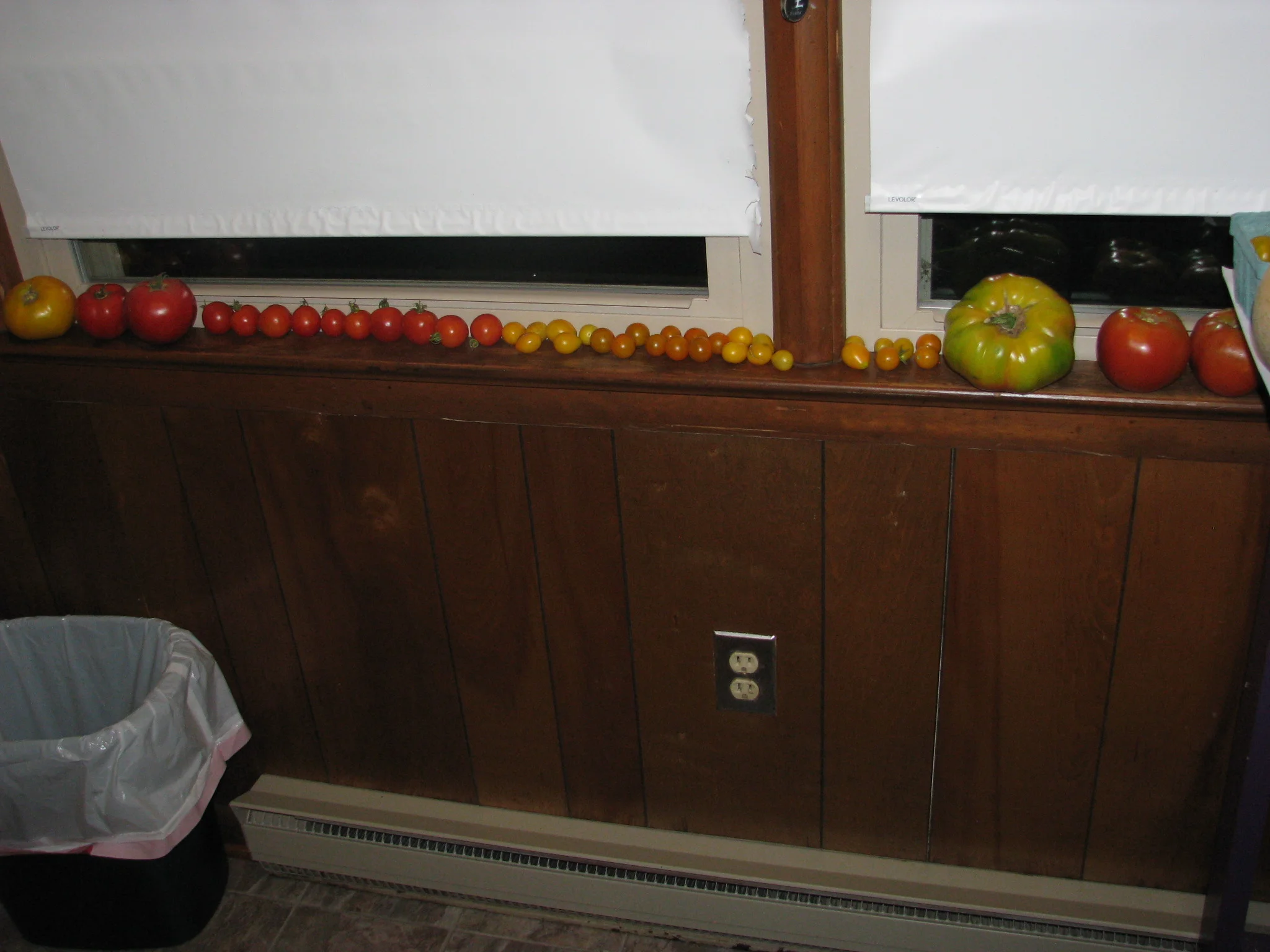 IMG_9598.webp