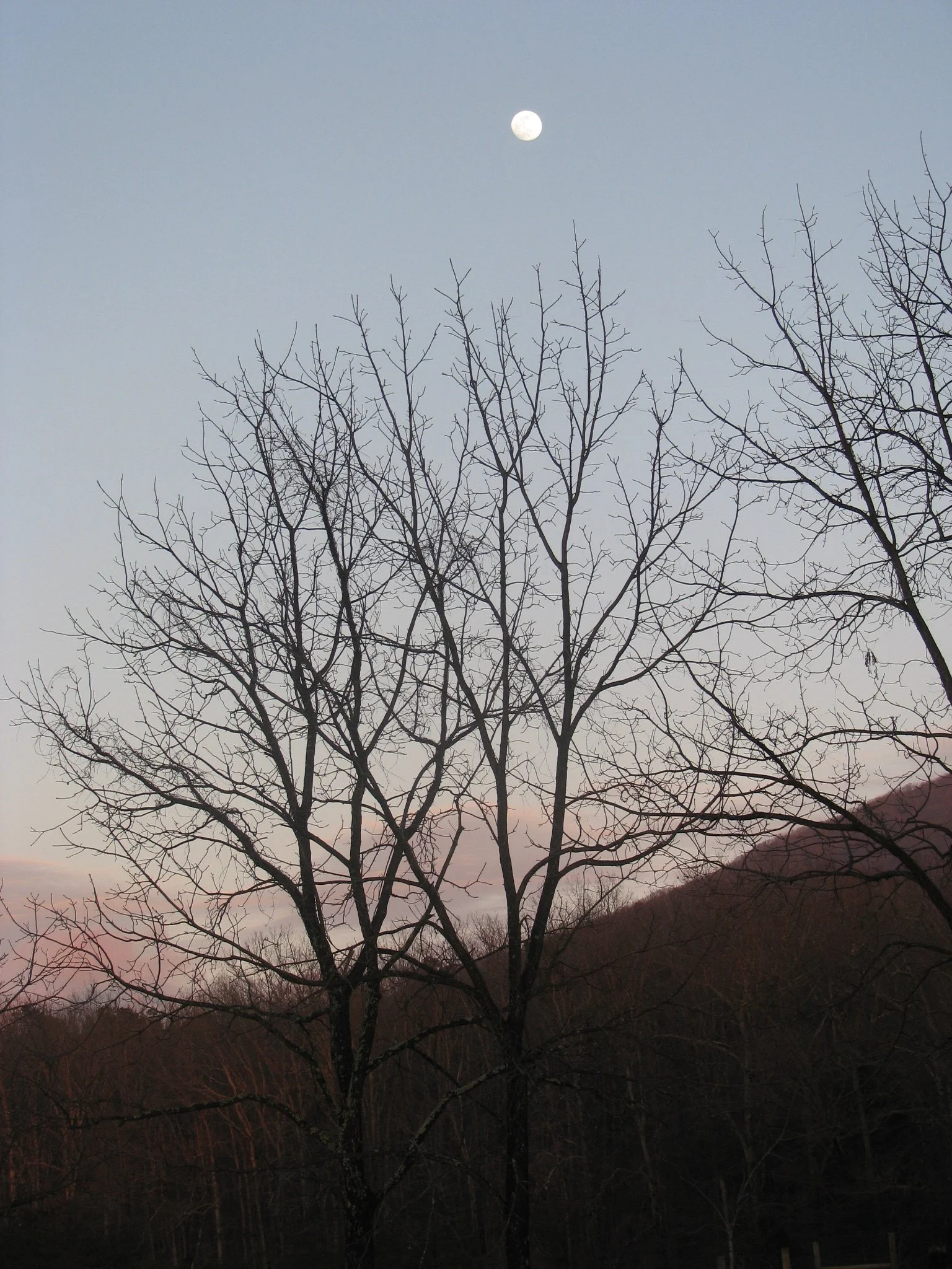 IMG_9749.webp