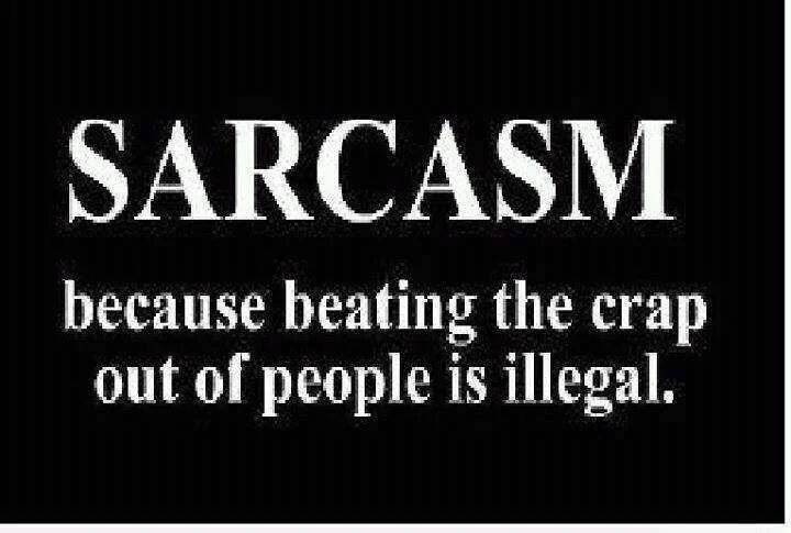 img_ec793d81sarcasm.webp