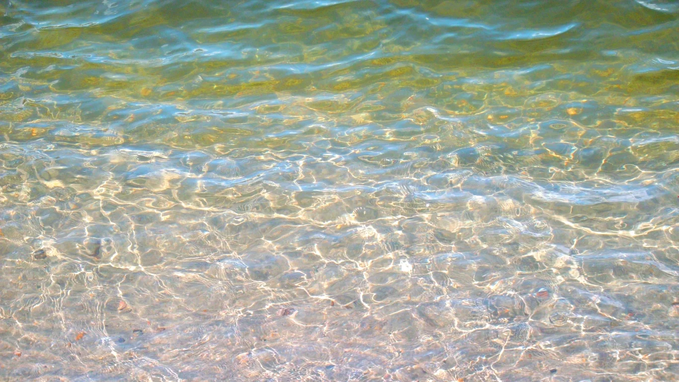 IMGP0219 v3.webp