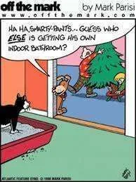 indoor toilet.webp