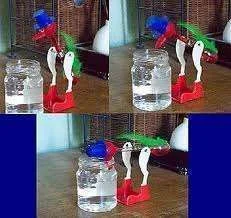 infamousdrinkingbird.webp
