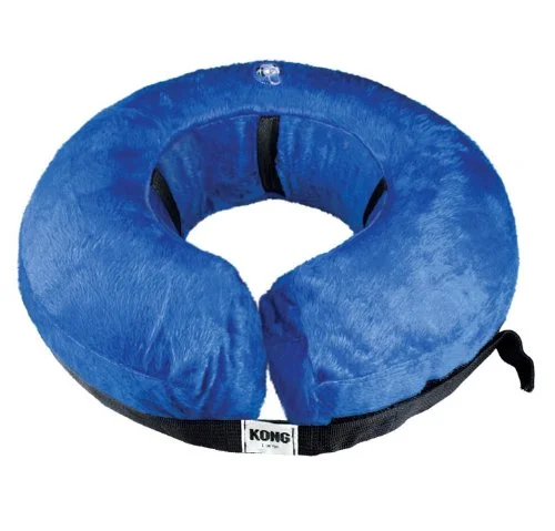 Inflatable collar.webp